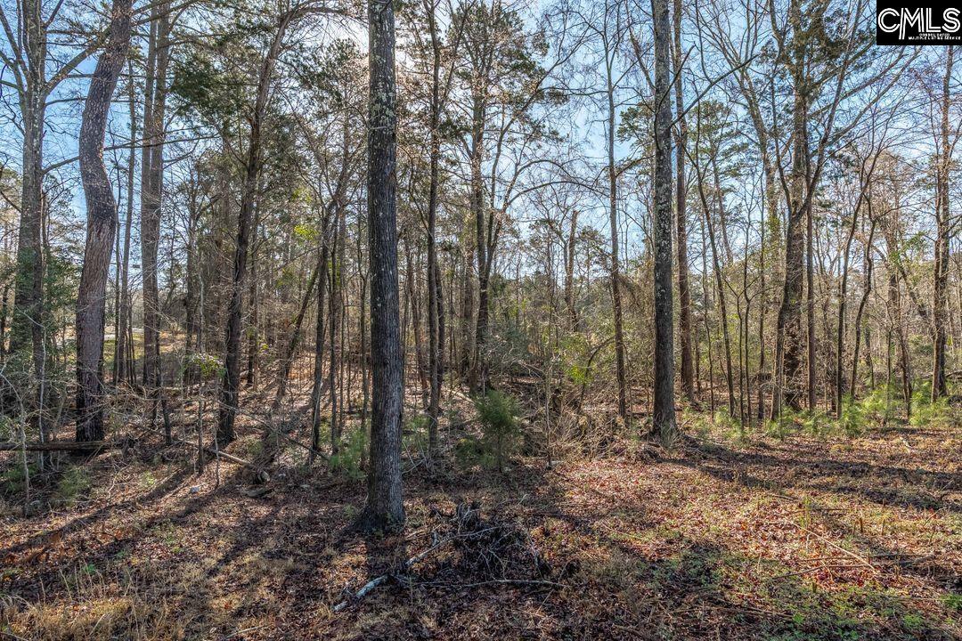Bogater Road UNIT 57-61 Chapin, SC 29036