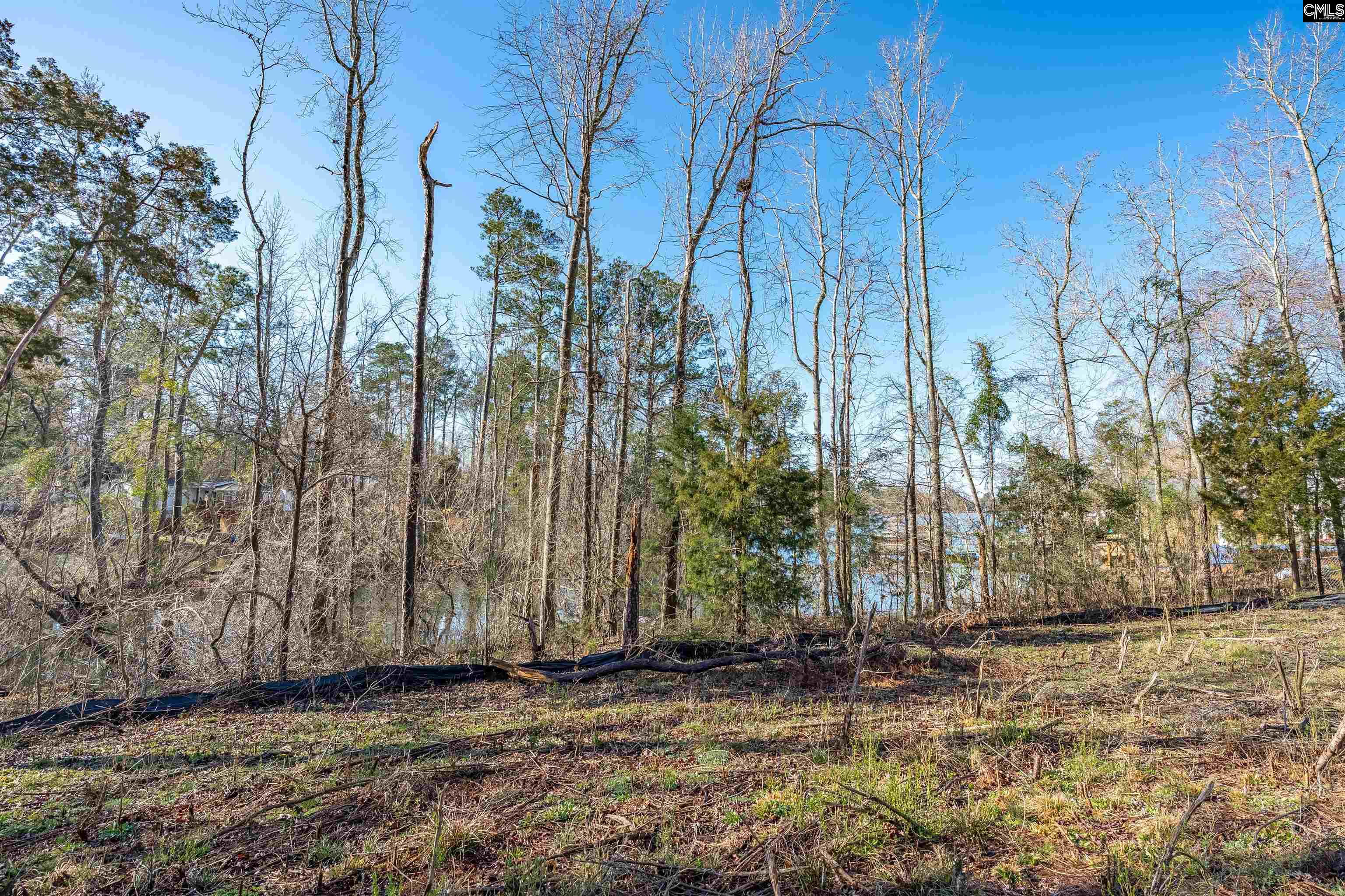 Bogater Road UNIT 57-61 Chapin, SC 29036