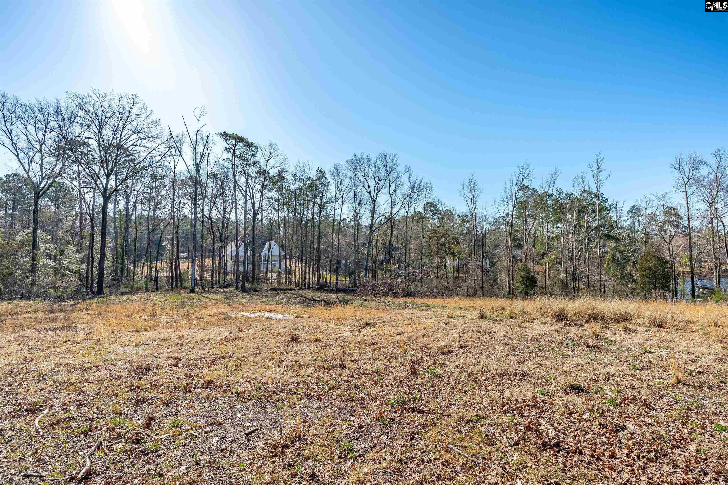 Bogater Road UNIT 57-61 Chapin, SC 29036