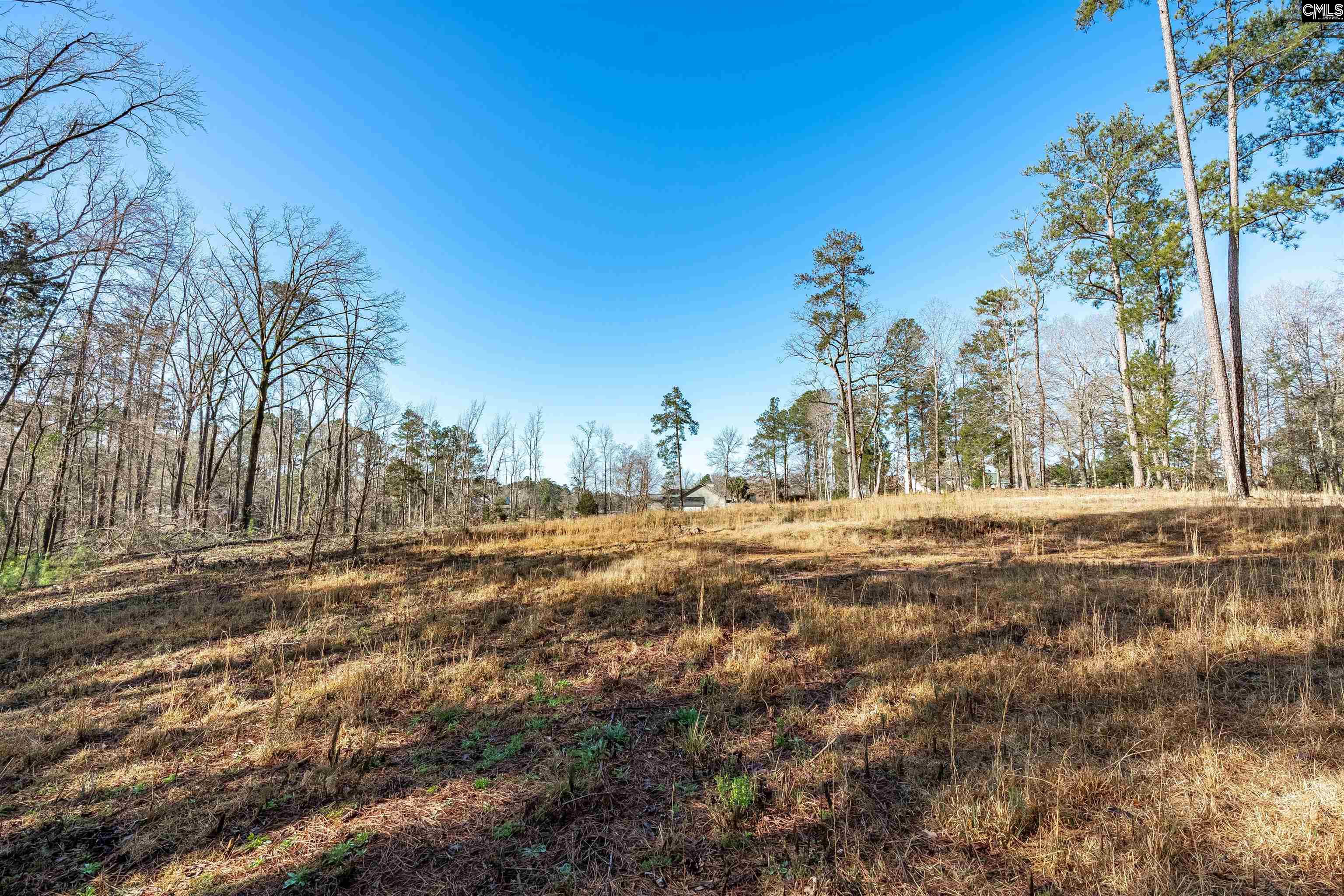 Bogater Road UNIT 57-61 Chapin, SC 29036