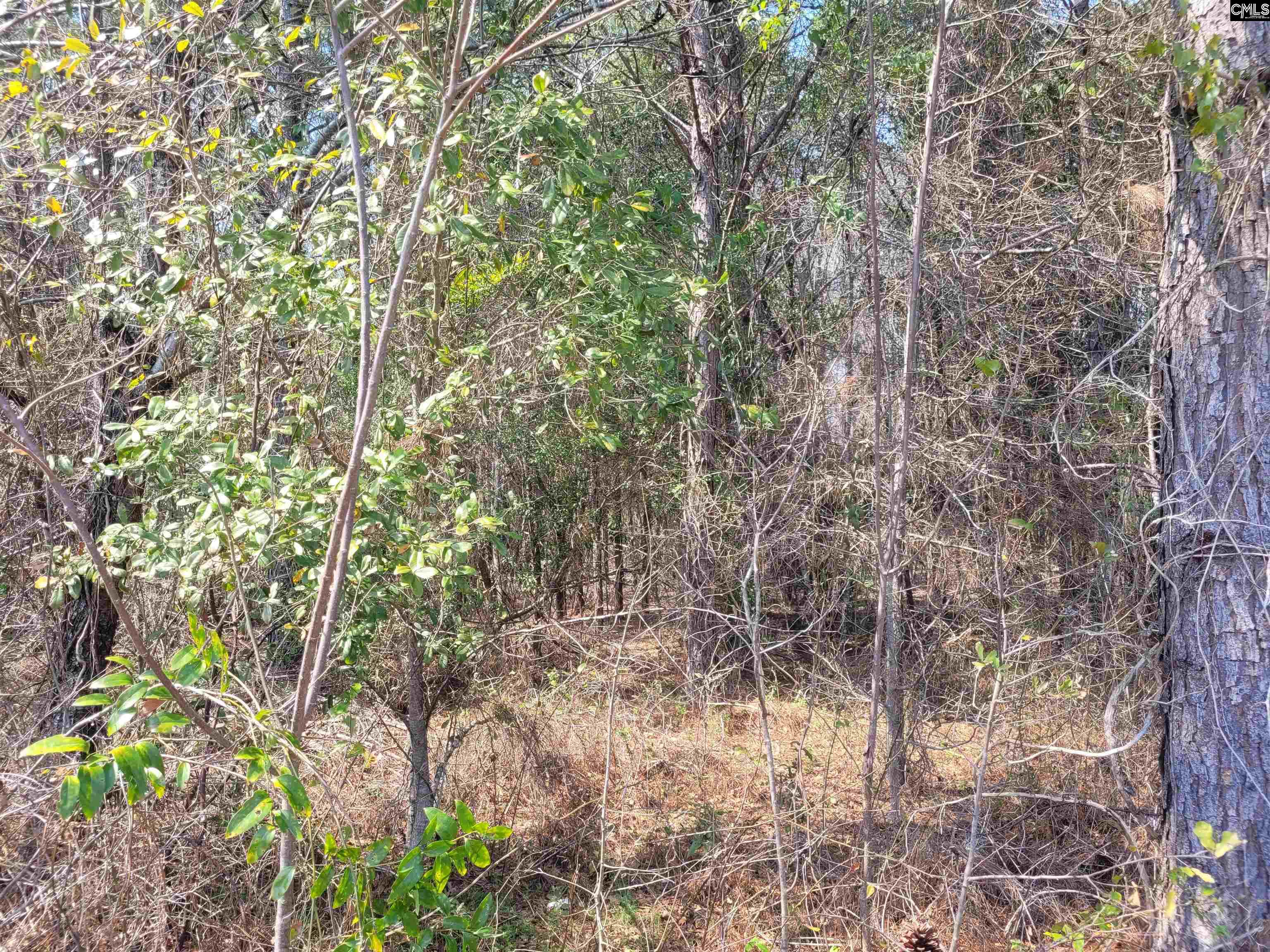 239 House Road Eastover, SC 29044