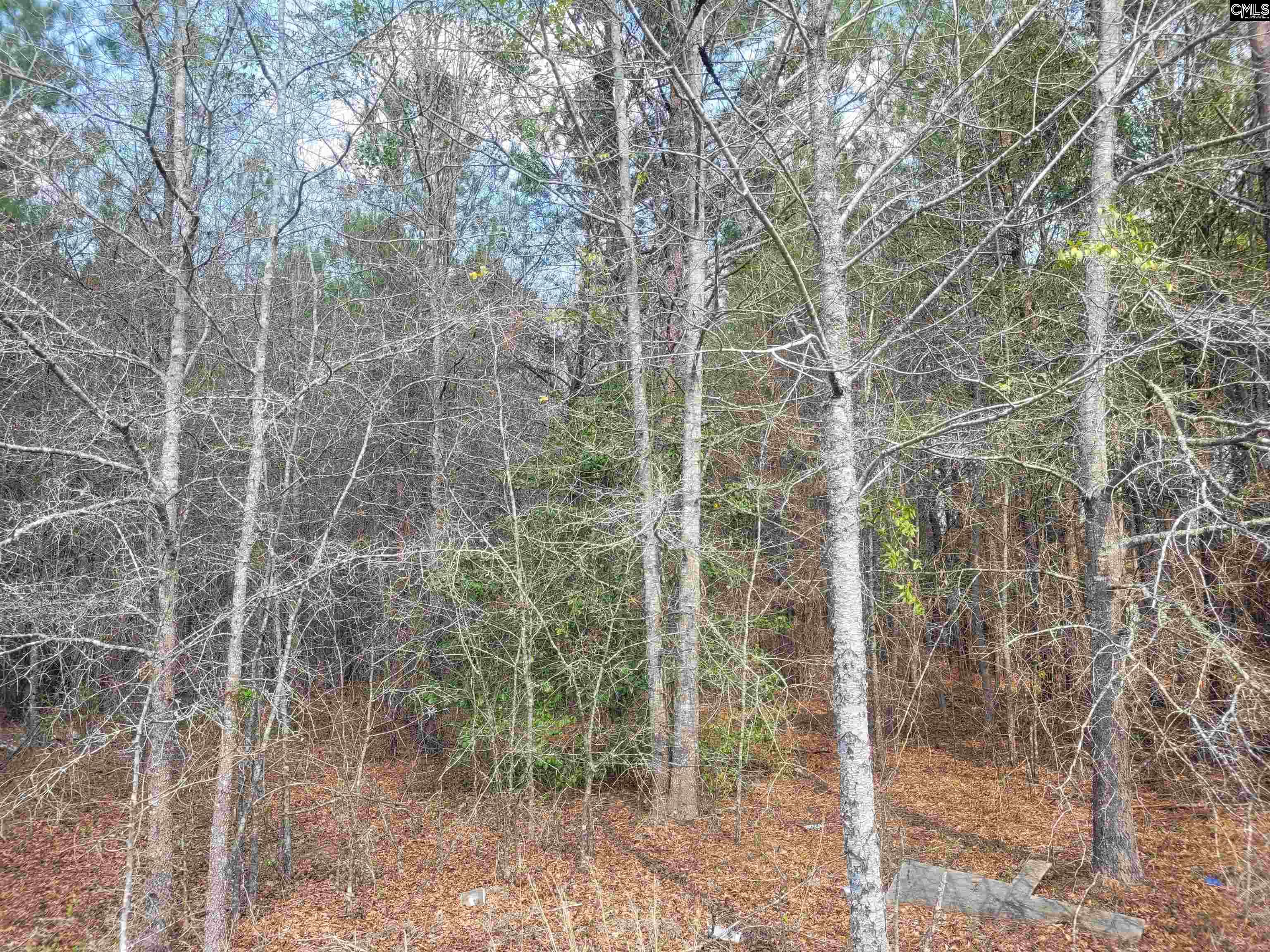 239 House Road, Eastover, South Carolina image 2