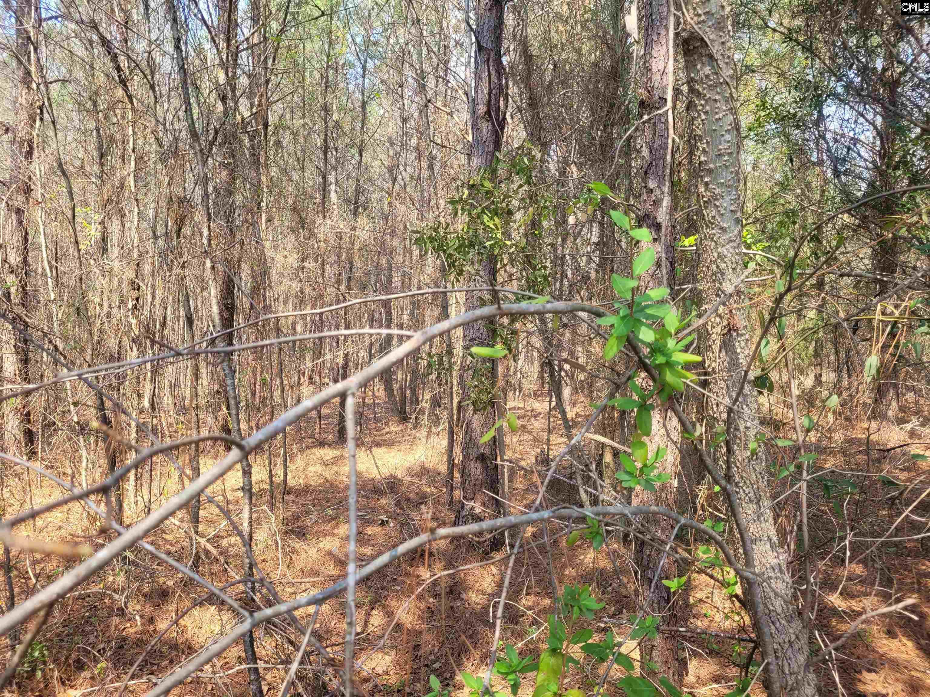 239 House Road, Eastover, South Carolina image 4
