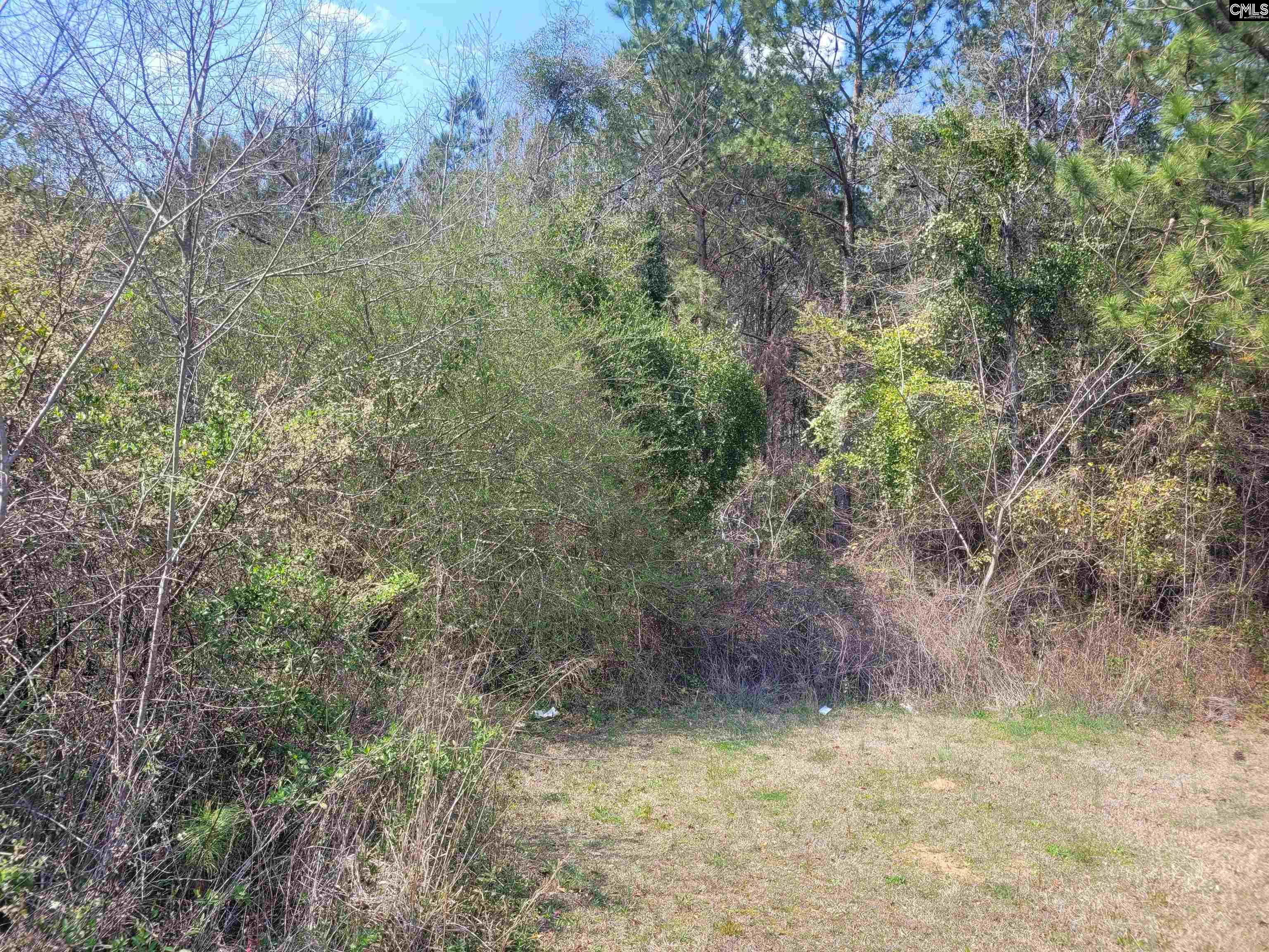 239 House Road, Eastover, South Carolina image 6