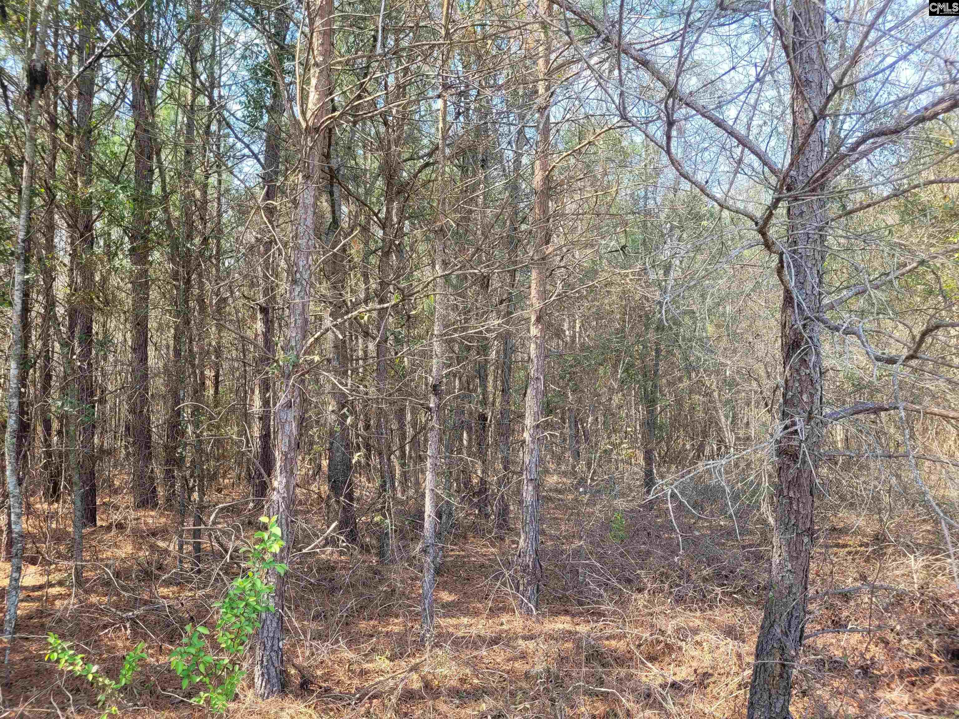 239 House Road, Eastover, South Carolina image 7