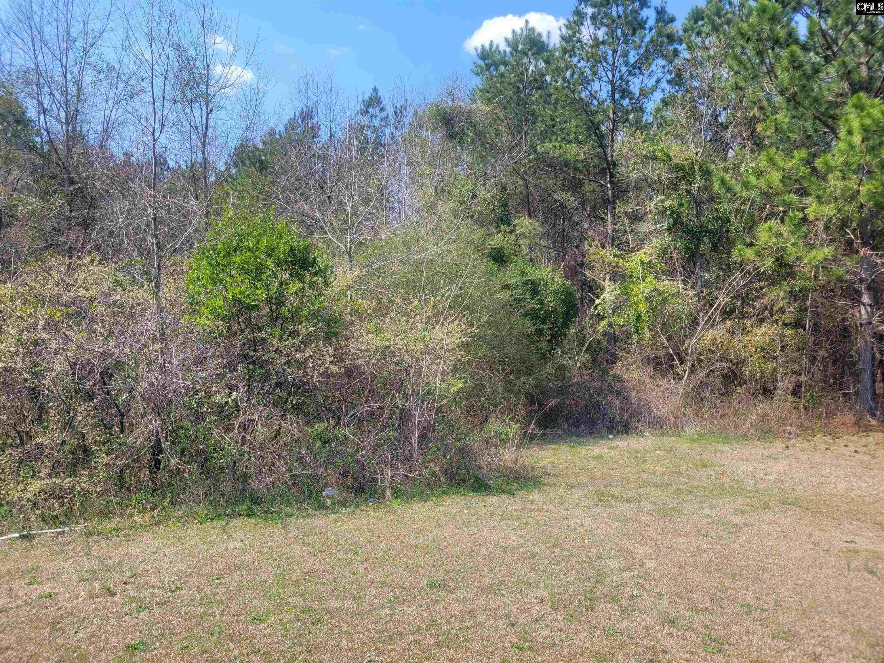 239 House Road, Eastover, South Carolina image 9