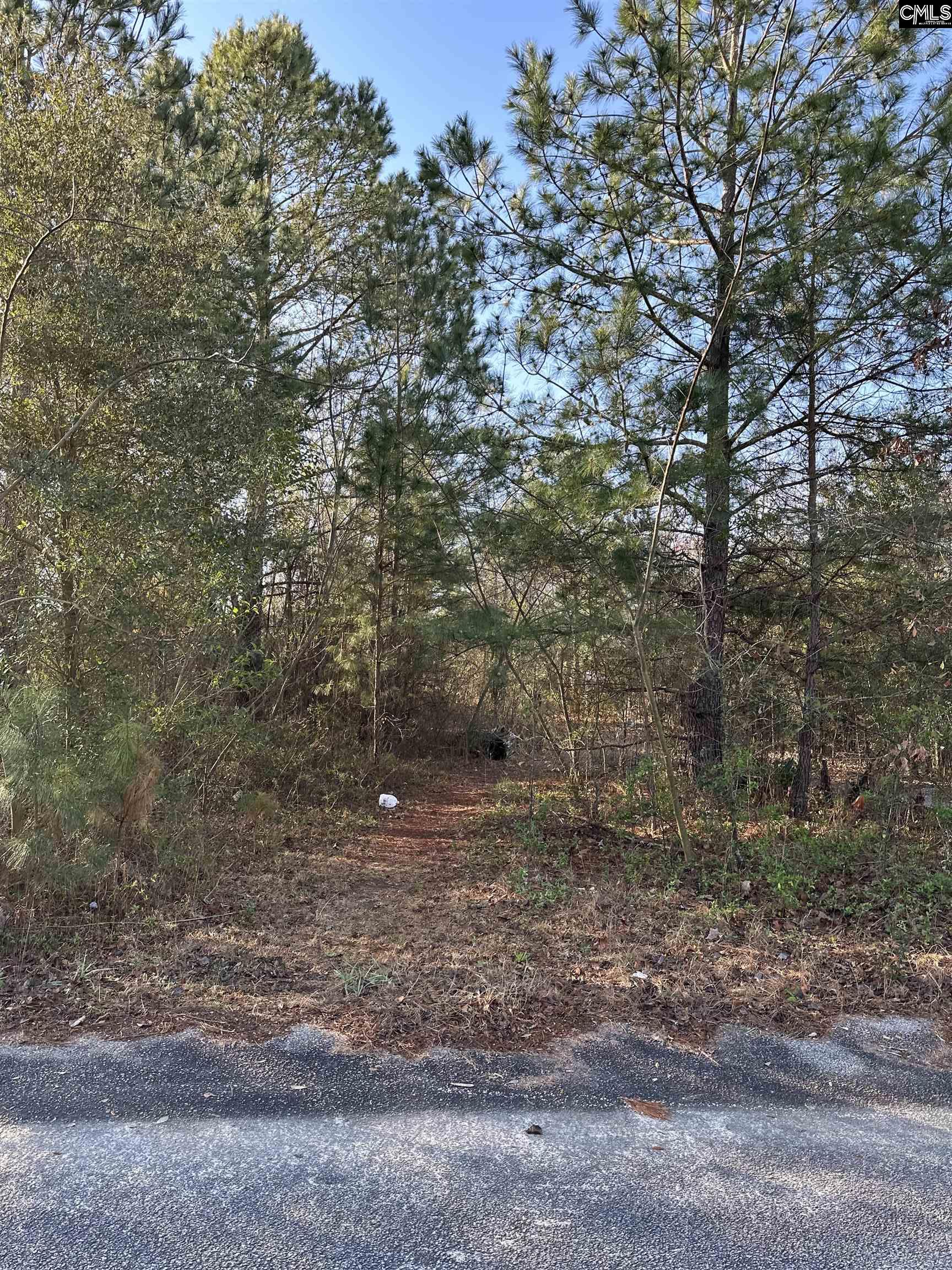 429 Swansea Heights Avenue Swansea, SC 29160