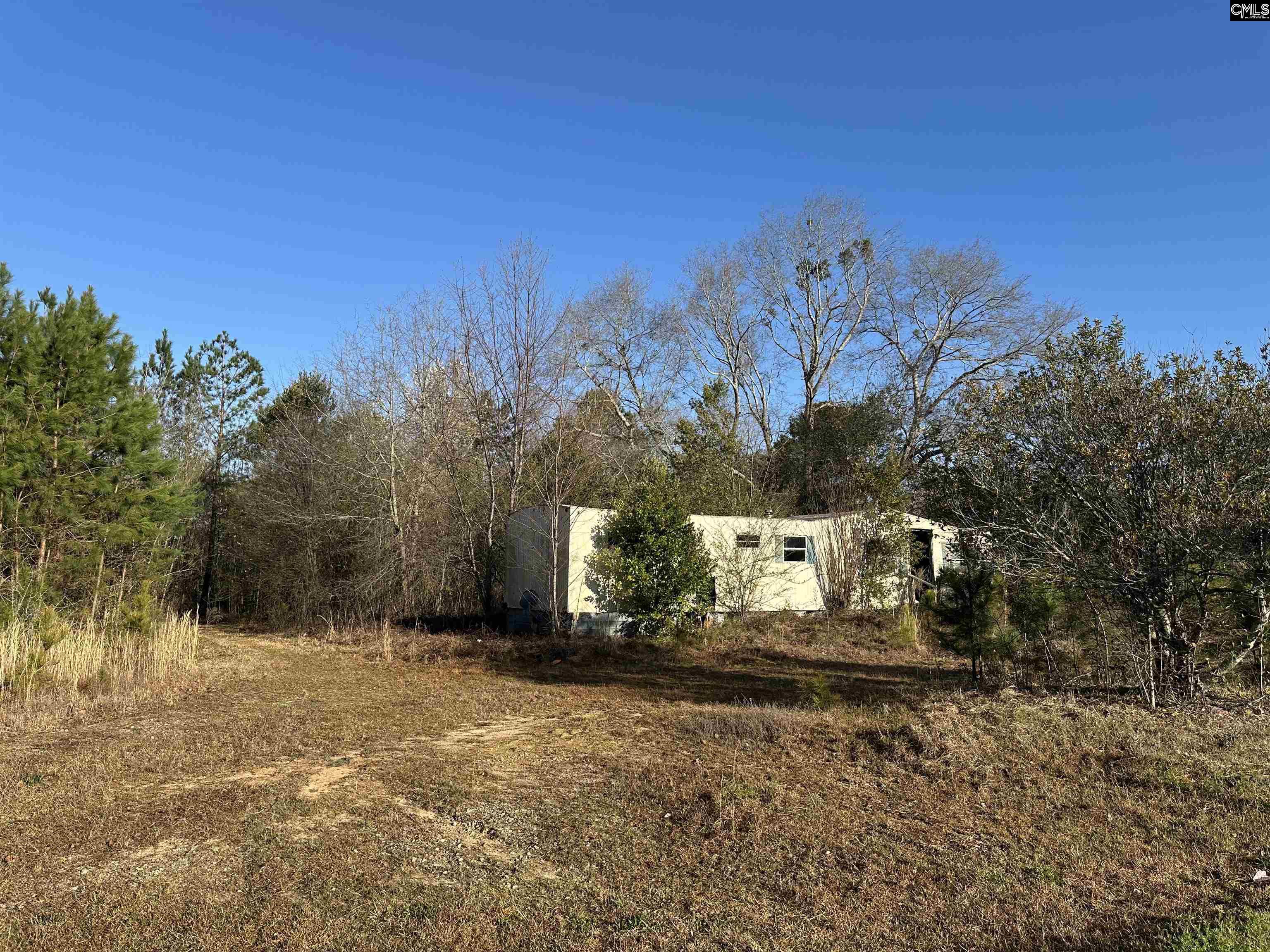 130 Monroe Avenue, Swansea, South Carolina image 1