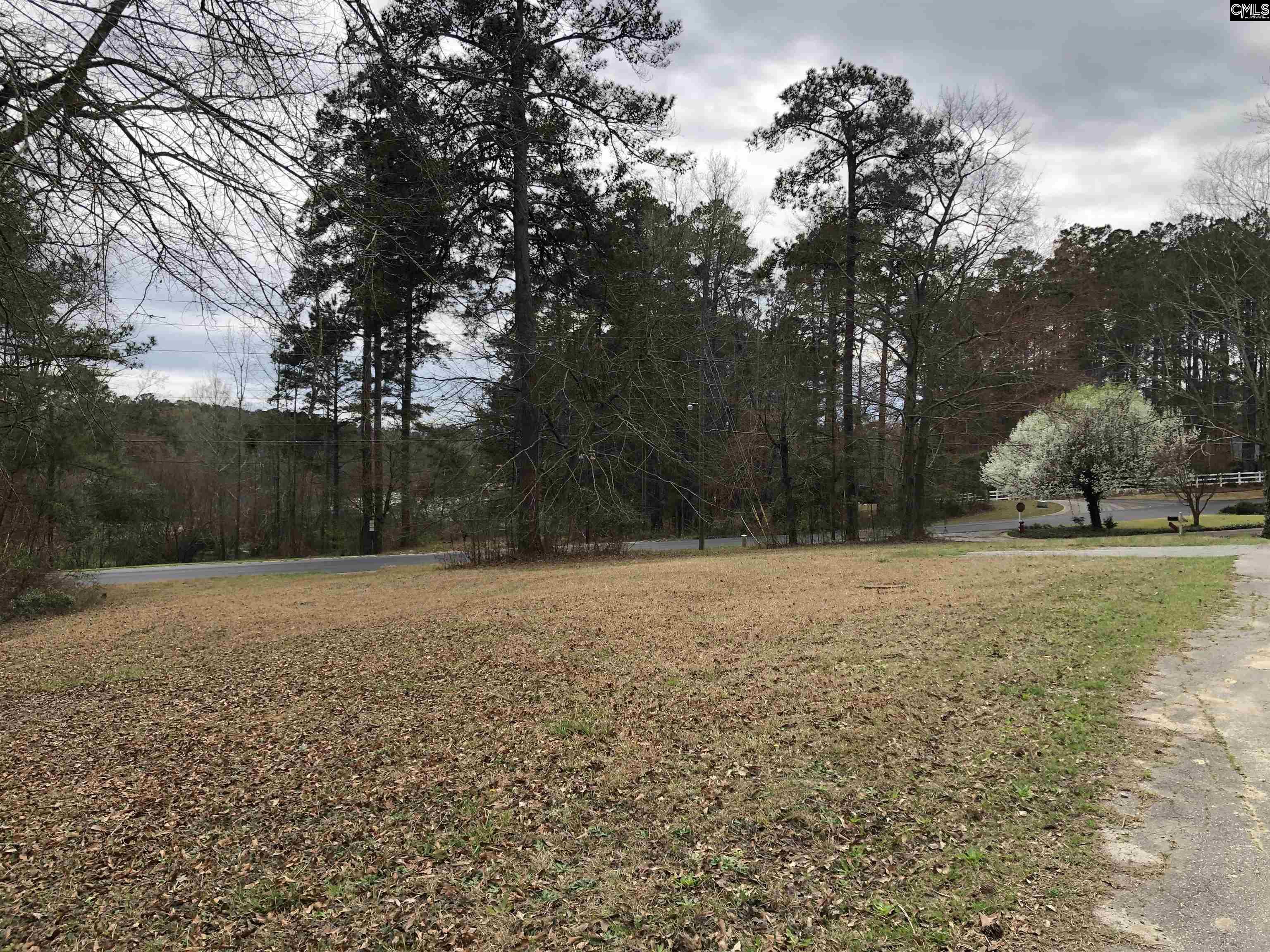 6 Fairway Ln, Blythewood, South Carolina image 3