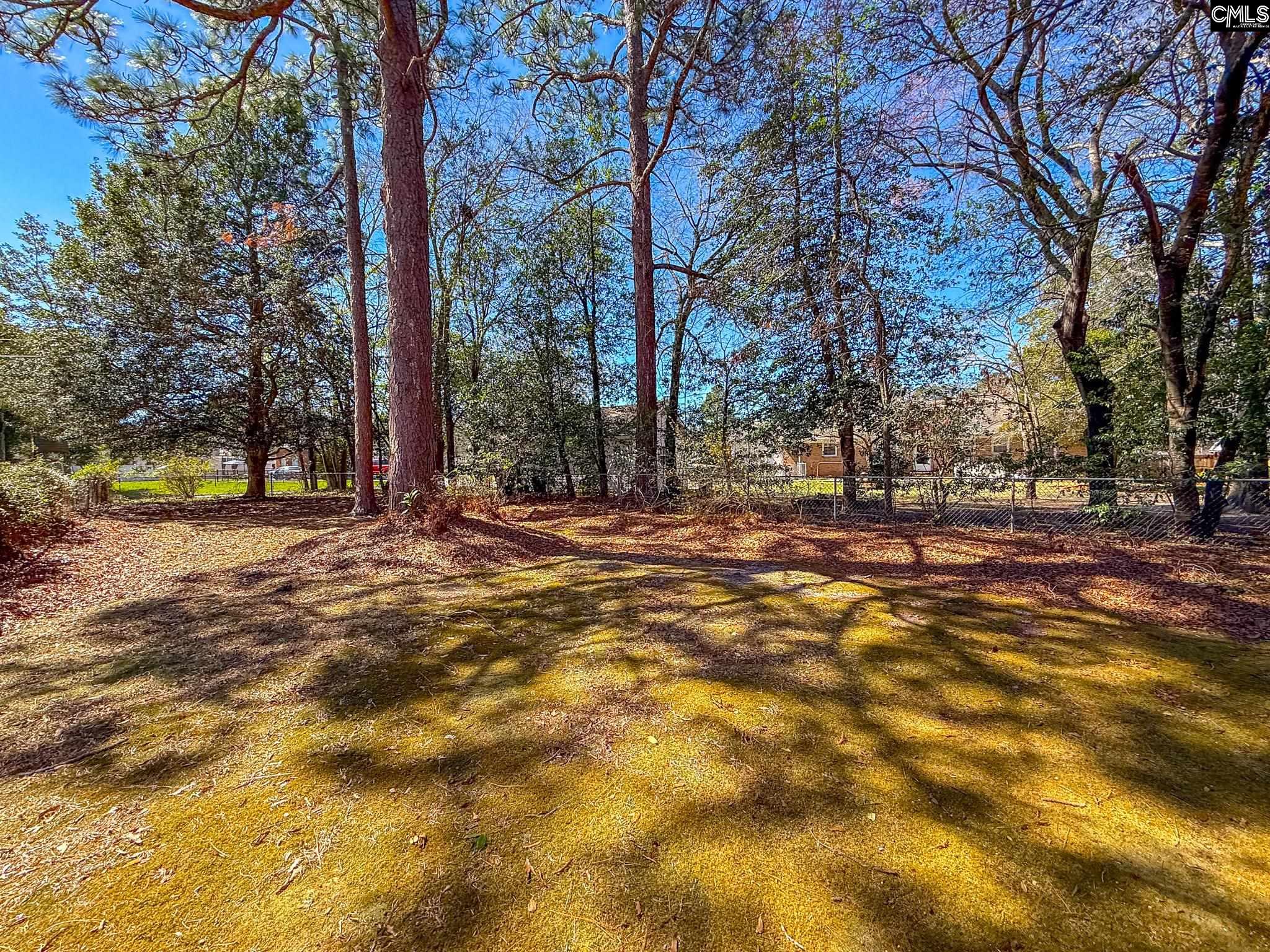 101 Cool Springs Drive, Camden, South Carolina image 47