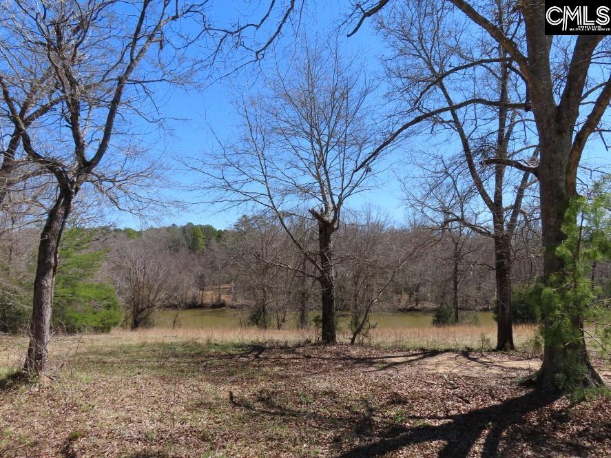 Mellrich Road, Iva, South Carolina image 17