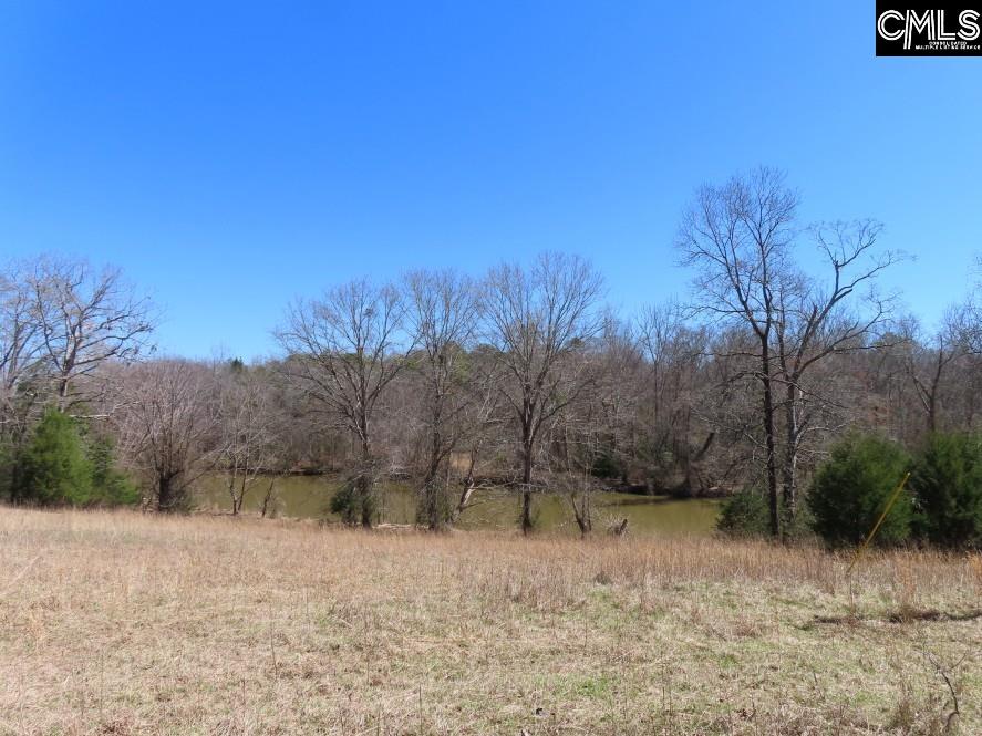 Mellrich Road, Iva, South Carolina image 32