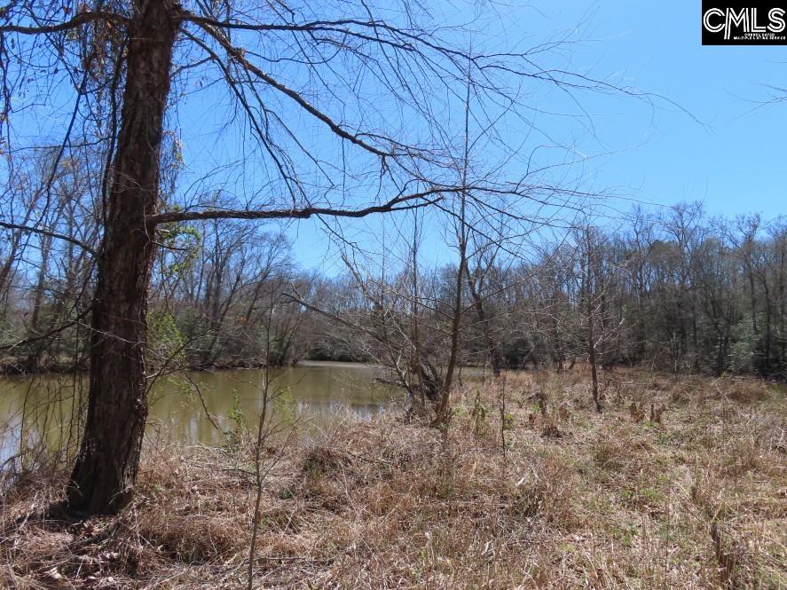 Mellrich Road, Iva, South Carolina image 33
