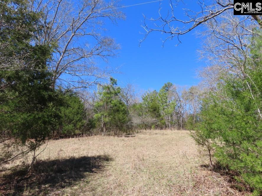 Mellrich Road, Iva, South Carolina image 37