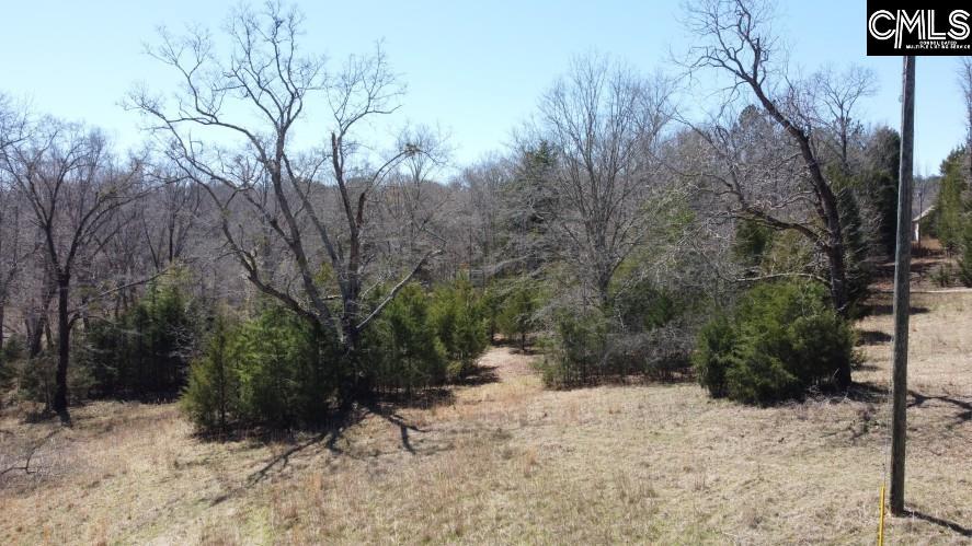 Mellrich Road, Iva, South Carolina image 40