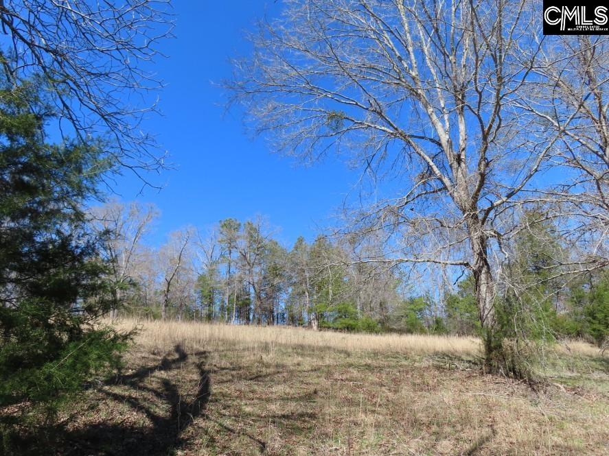 Mellrich Road, Iva, South Carolina image 44