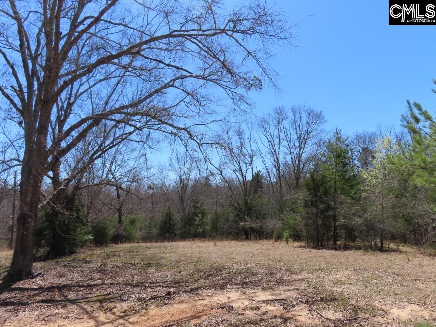 Mellrich Road, Iva, South Carolina image 50