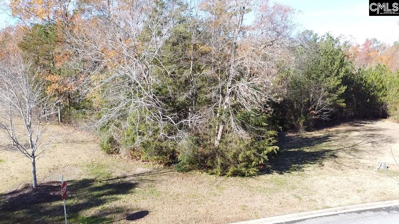 101 Summer Branch Lane, Irmo, South Carolina image 4