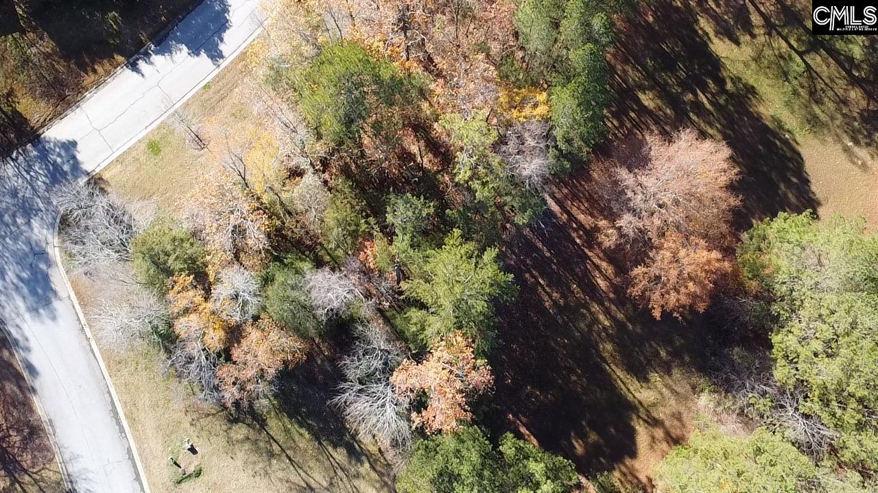 101 Summer Branch Lane, Irmo, South Carolina image 6