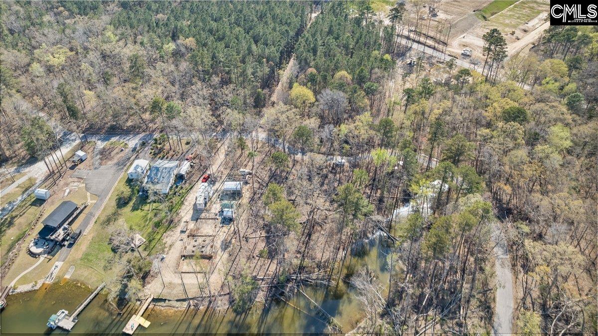 342 Green Garden Drive, Chapin, South Carolina image 4