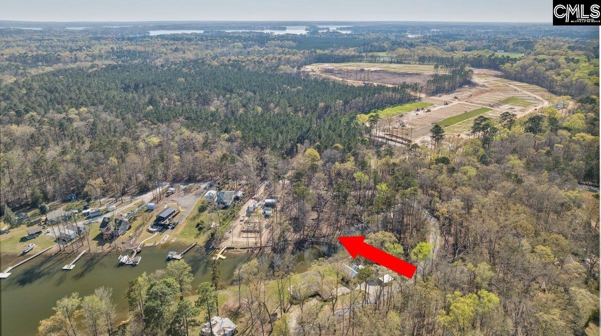 342 Green Garden Drive, Chapin, South Carolina image 7