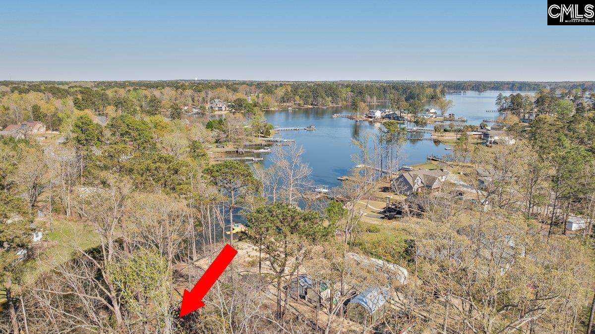 342 Green Garden Drive, Chapin, South Carolina image 8