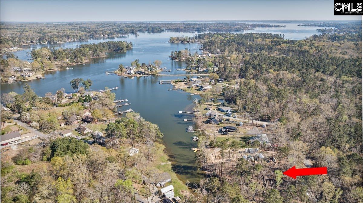 342 Green Garden Drive, Chapin, South Carolina image 10