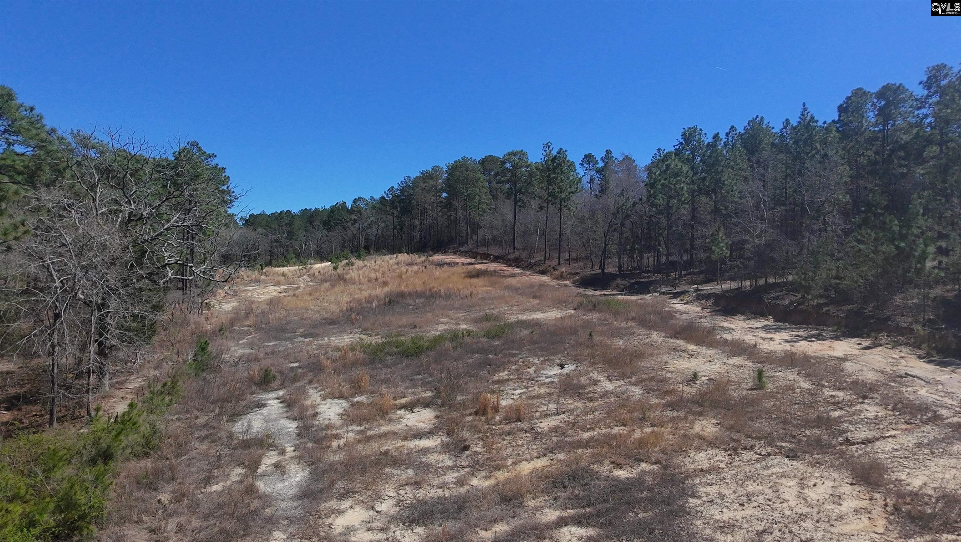 699 Crystal Springs Drive, Lexington, South Carolina image 4
