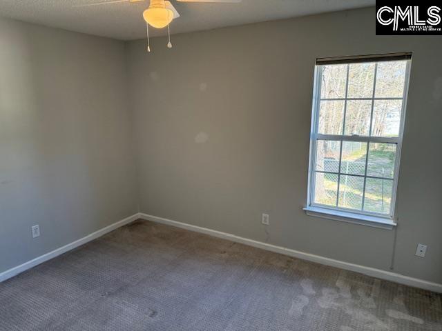 146 Firebridge Drive, Chapin, South Carolina image 12