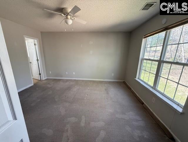 146 Firebridge Drive, Chapin, South Carolina image 14