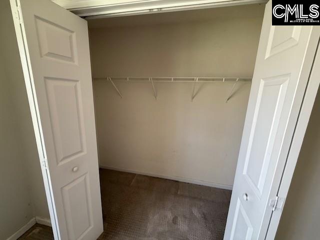 146 Firebridge Drive, Chapin, South Carolina image 15