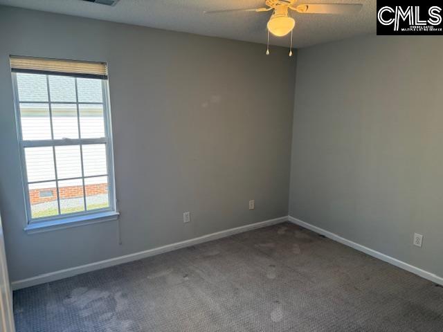 146 Firebridge Drive, Chapin, South Carolina image 10