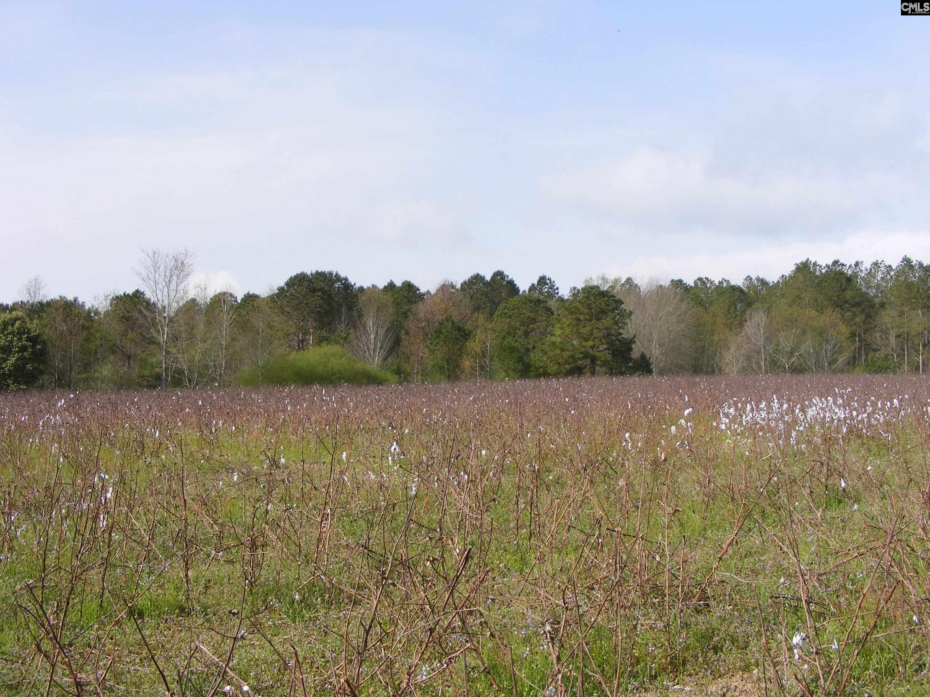 00 Dr Boylston Road, Salley, South Carolina image 12