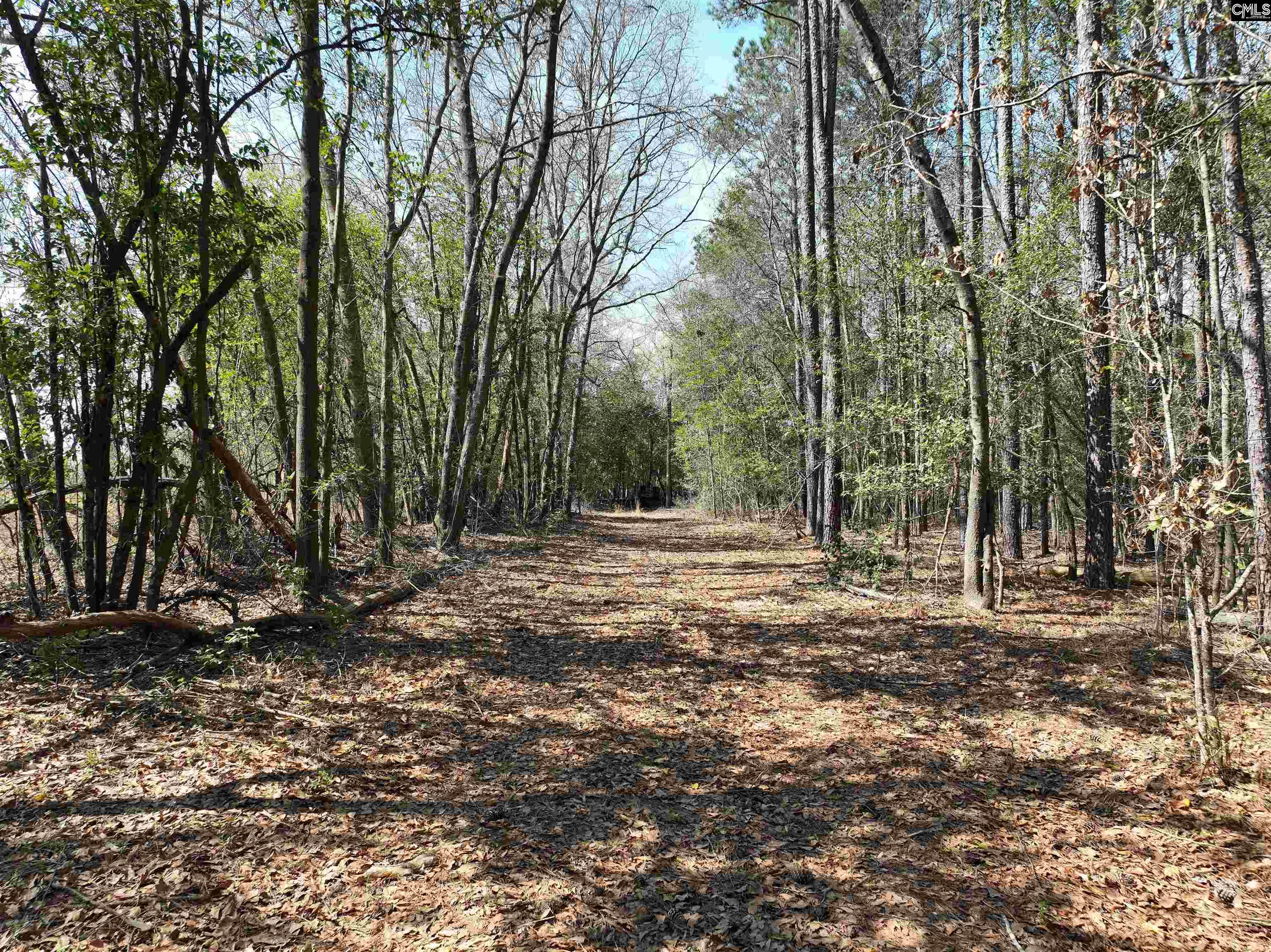 00 Dr Boylston Road, Salley, South Carolina image 15