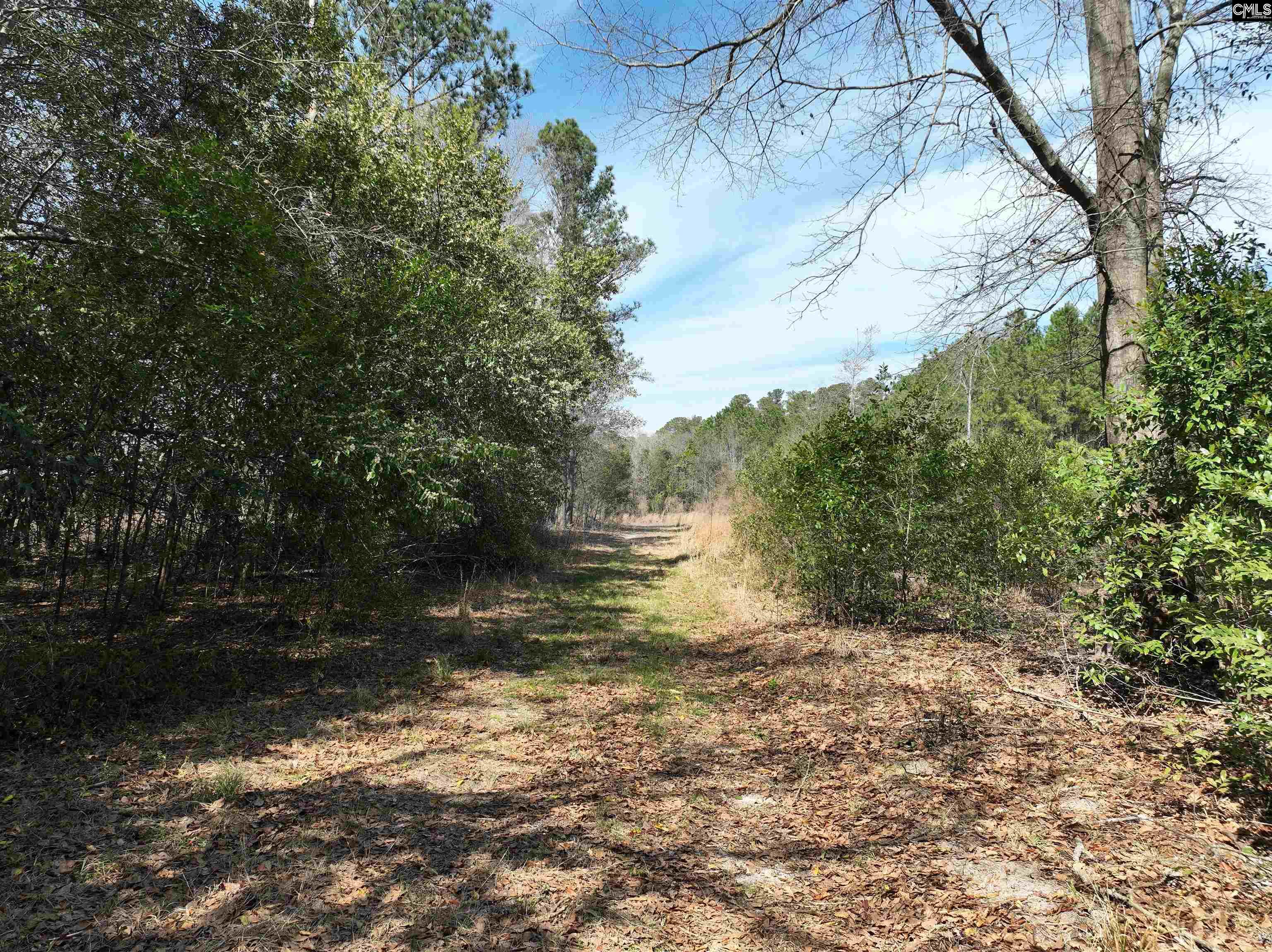 00 Dr Boylston Road, Salley, South Carolina image 17