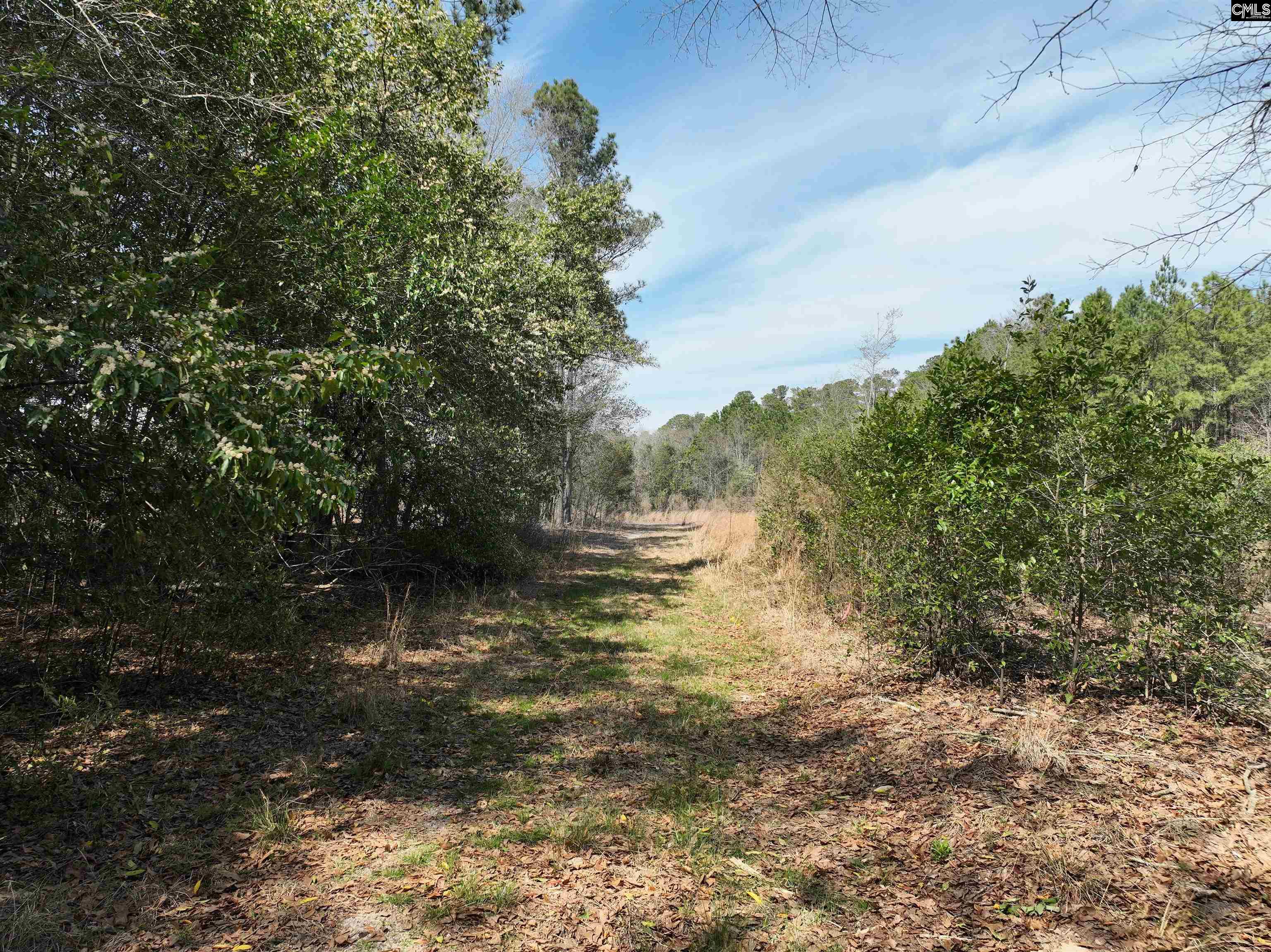 00 Dr Boylston Road, Salley, South Carolina image 19