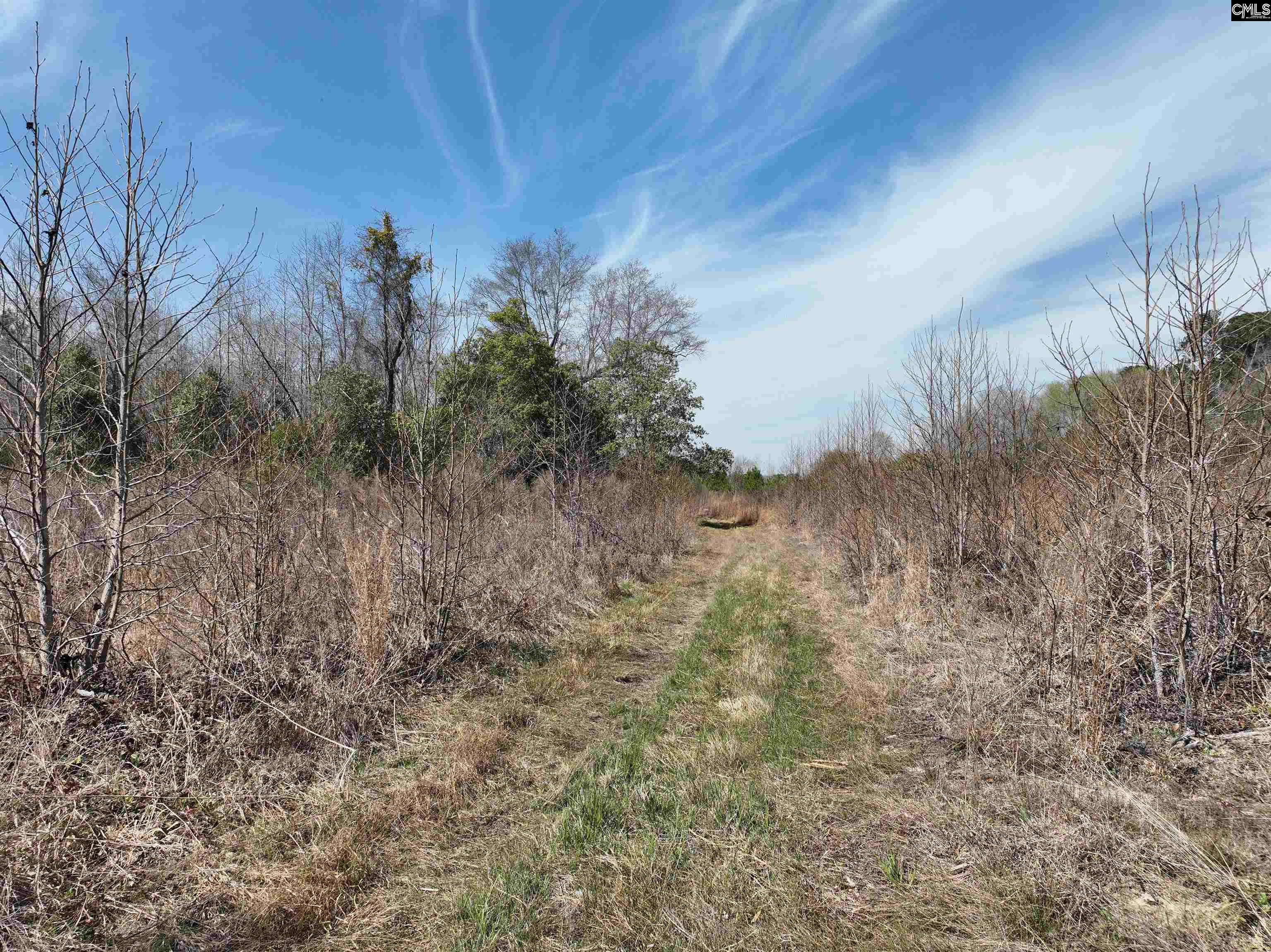 00 Dr Boylston Road, Salley, South Carolina image 20