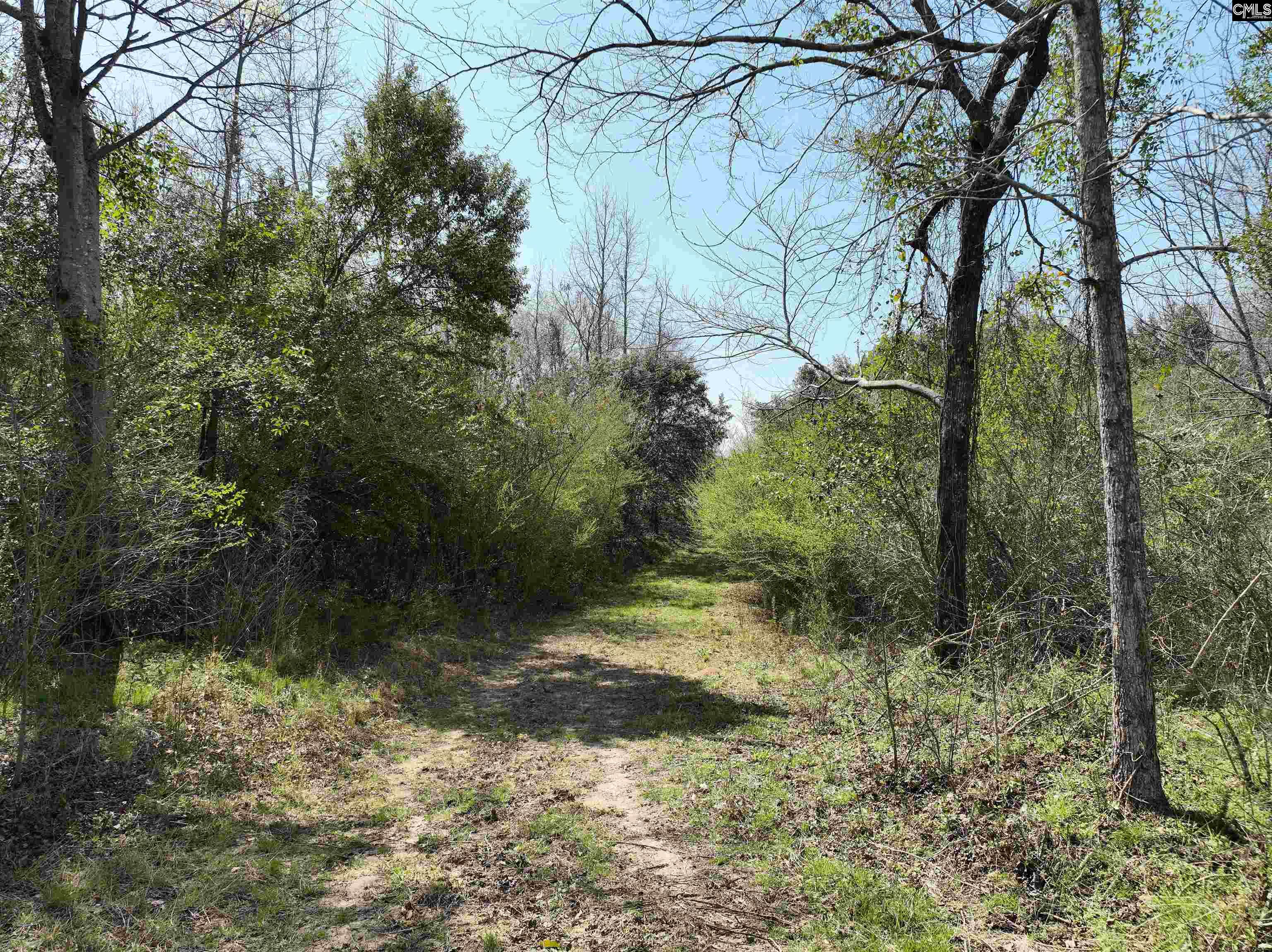 00 Dr Boylston Road, Salley, South Carolina image 21