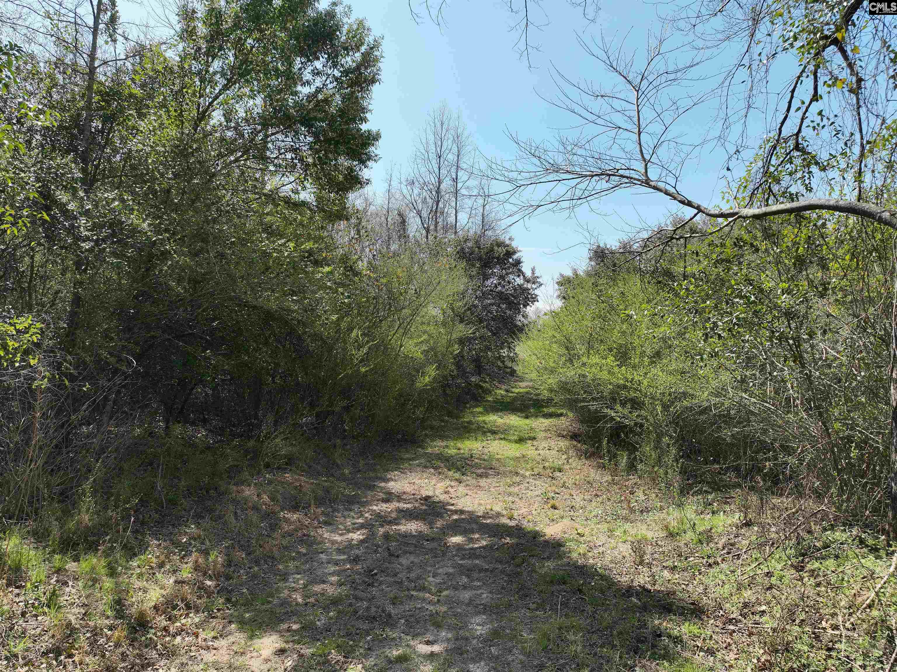 00 Dr Boylston Road, Salley, South Carolina image 22