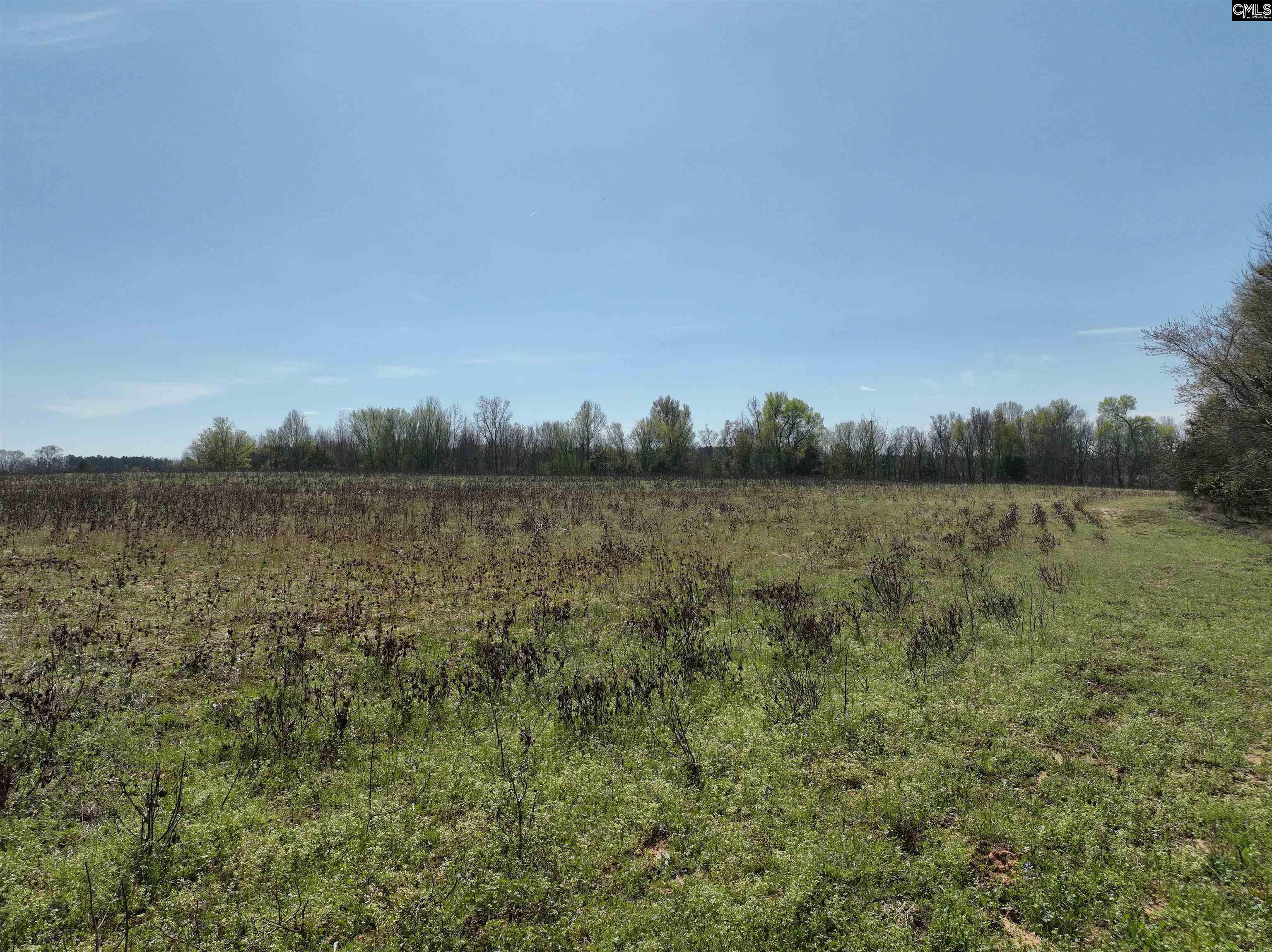 00 Dr Boylston Road, Salley, South Carolina image 23