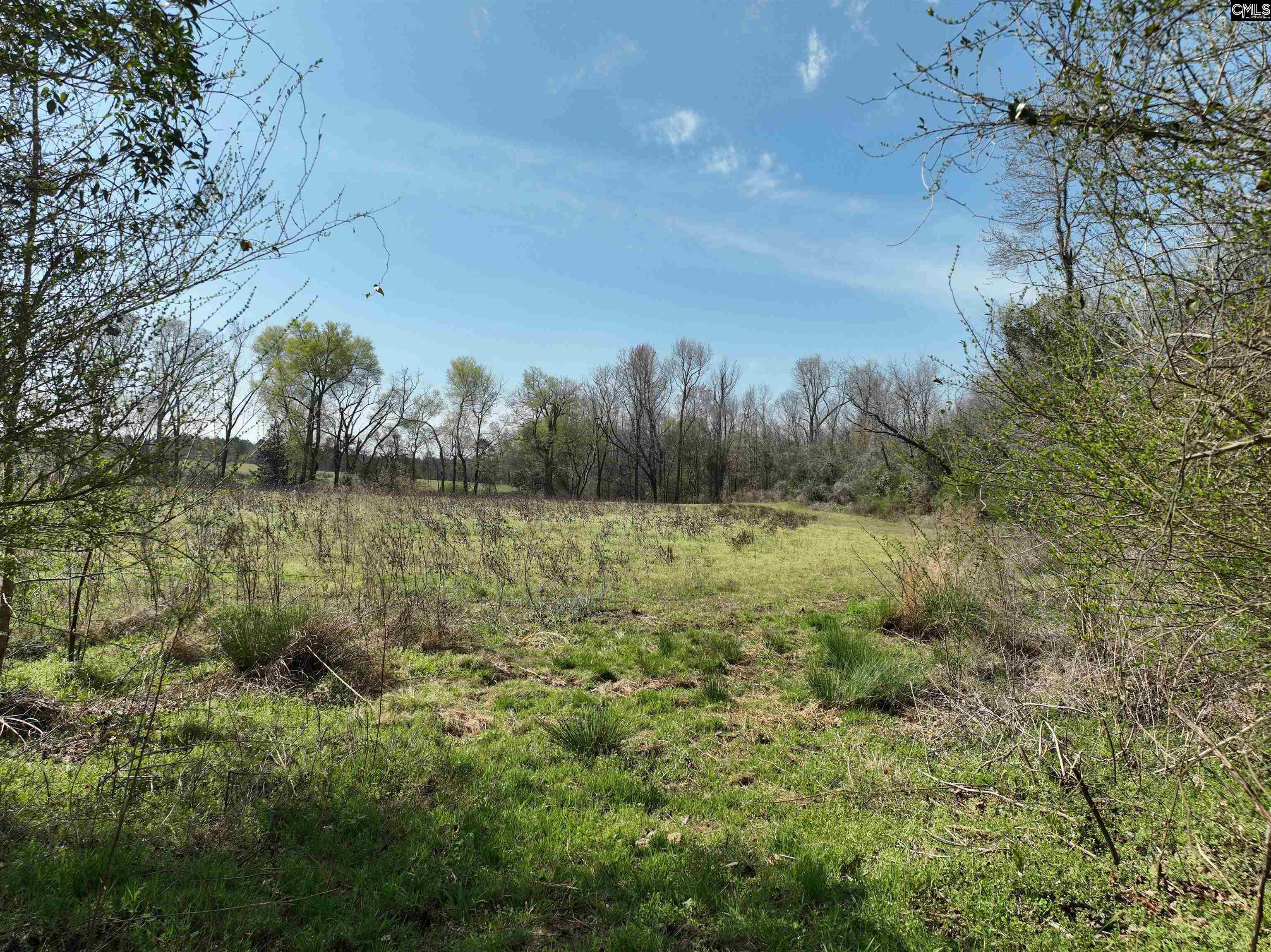 00 Dr Boylston Road, Salley, South Carolina image 26