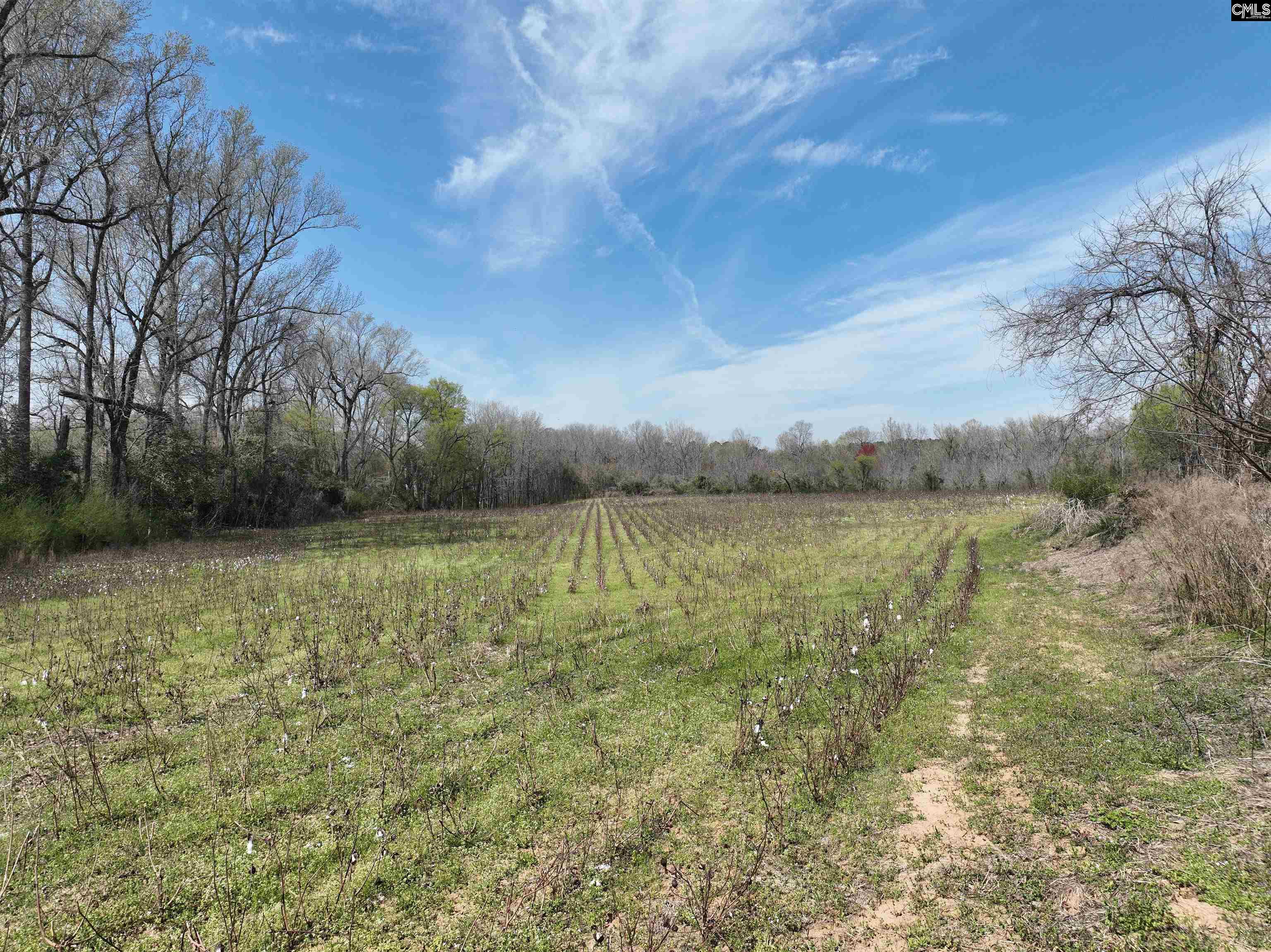 00 Dr Boylston Road, Salley, South Carolina image 29