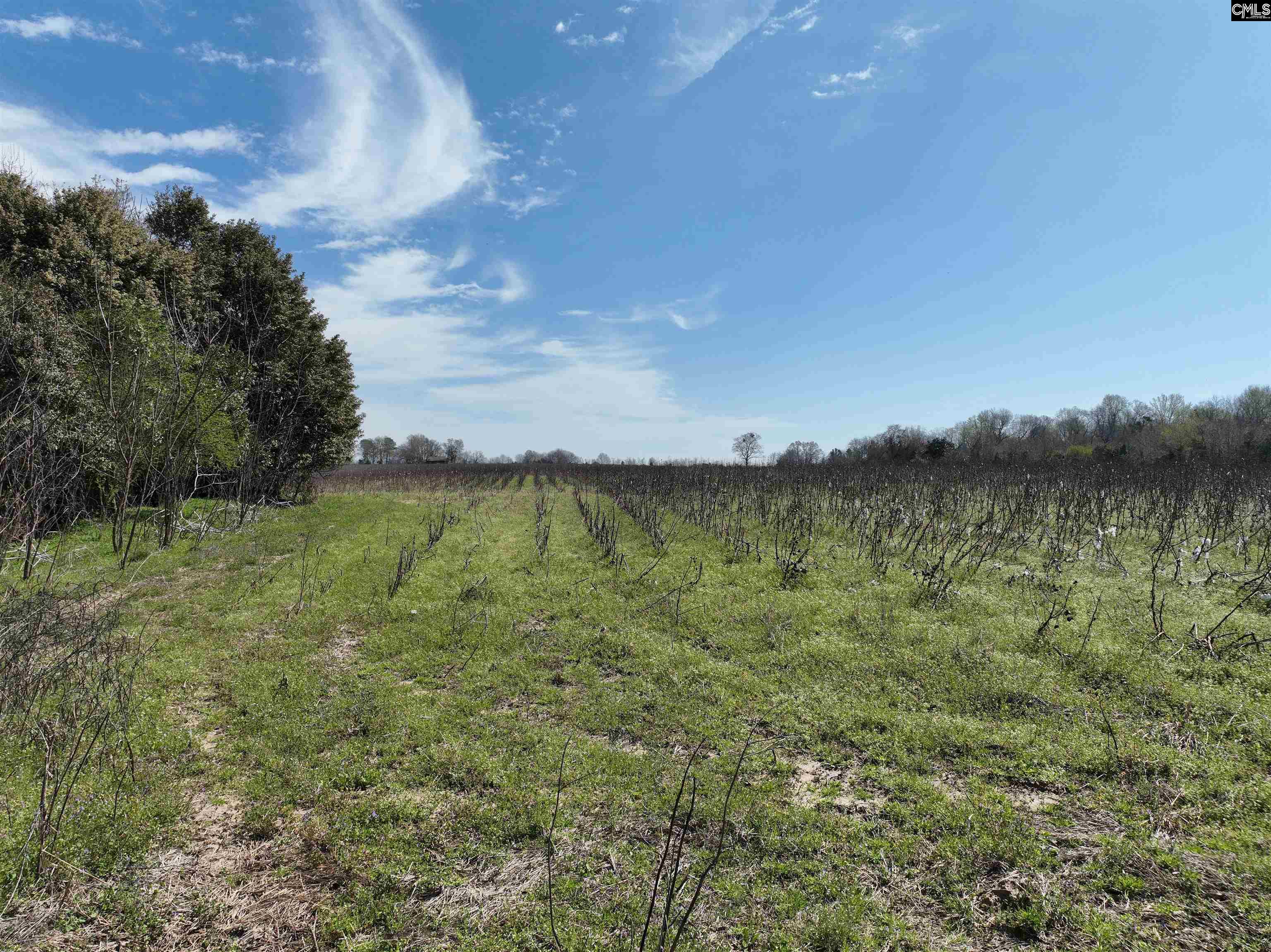 00 Dr Boylston Road, Salley, South Carolina image 31