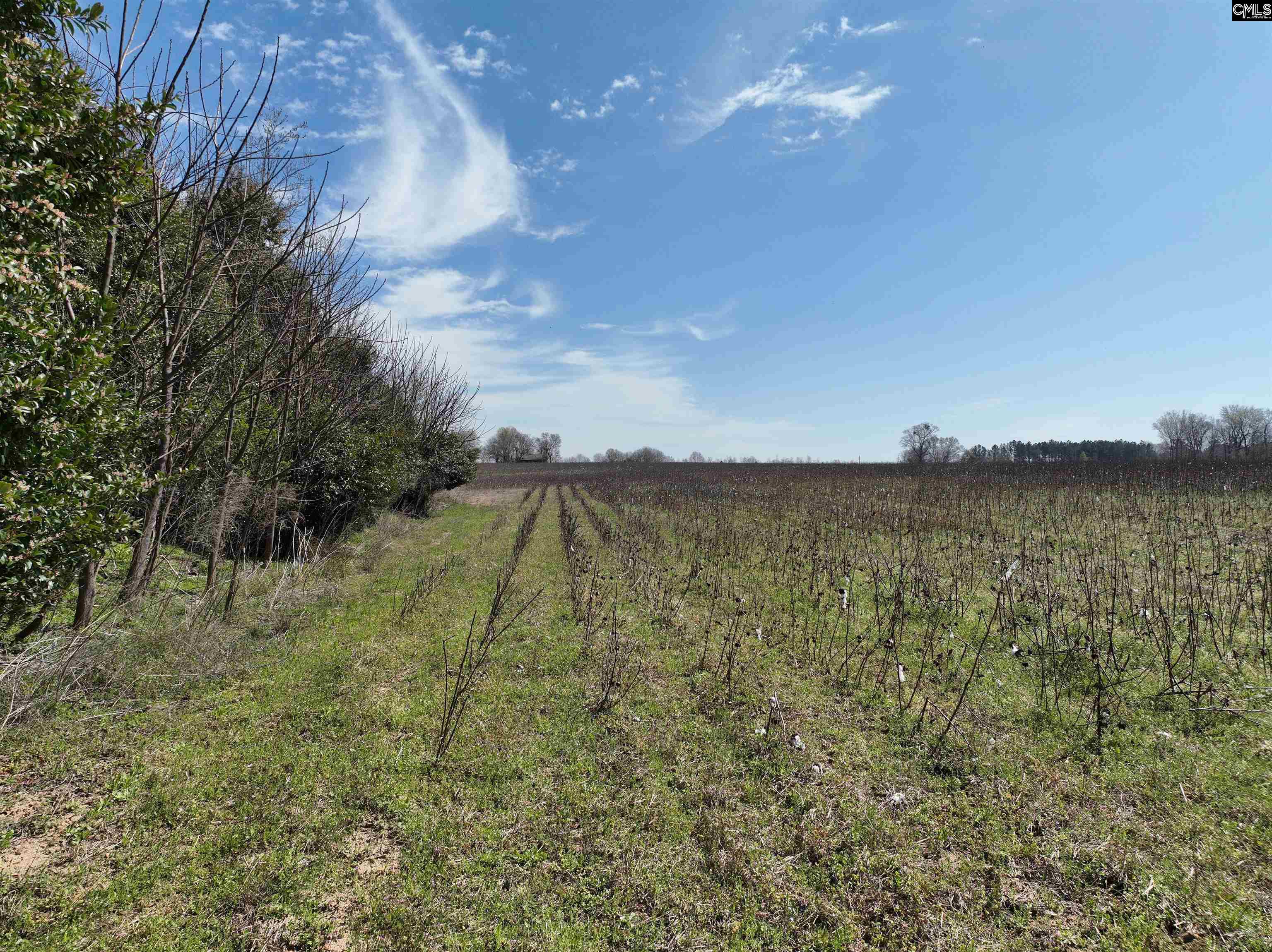 00 Dr Boylston Road, Salley, South Carolina image 33
