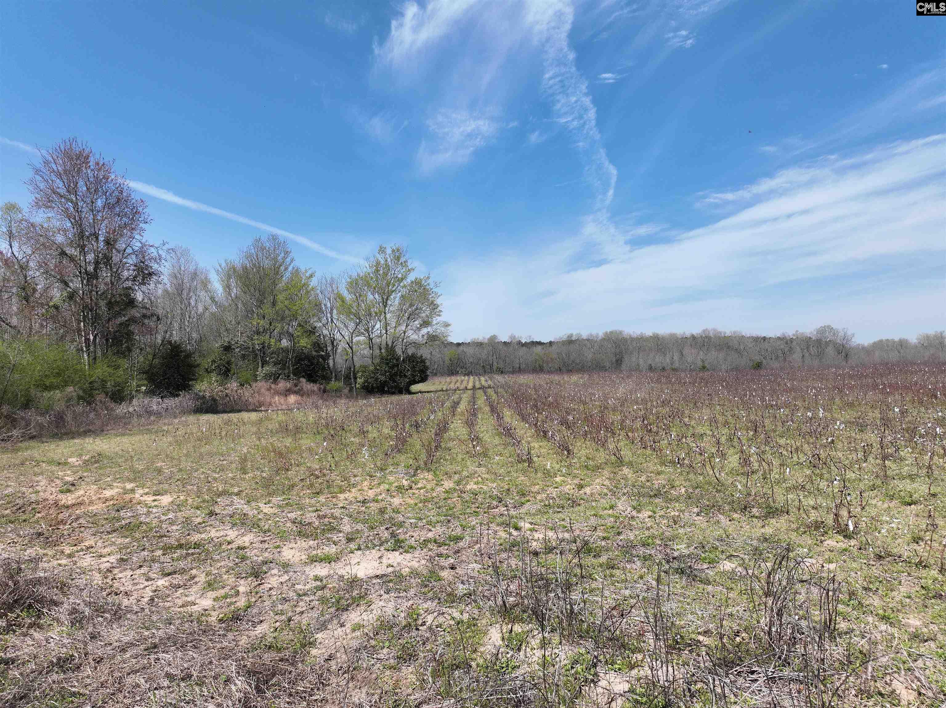 00 Dr Boylston Road, Salley, South Carolina image 34