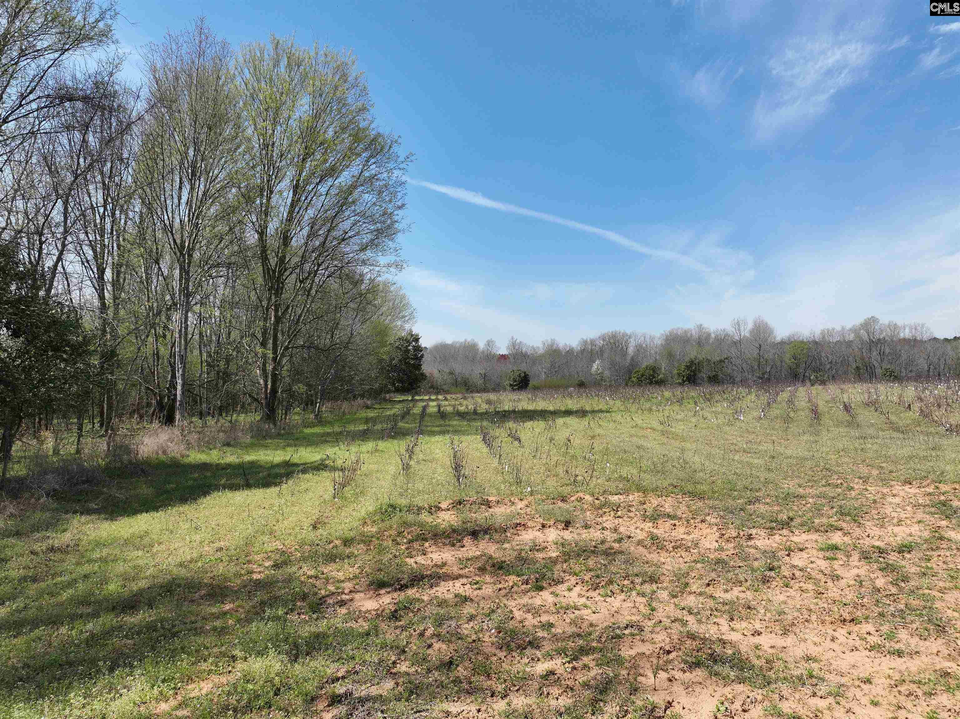 00 Dr Boylston Road, Salley, South Carolina image 35