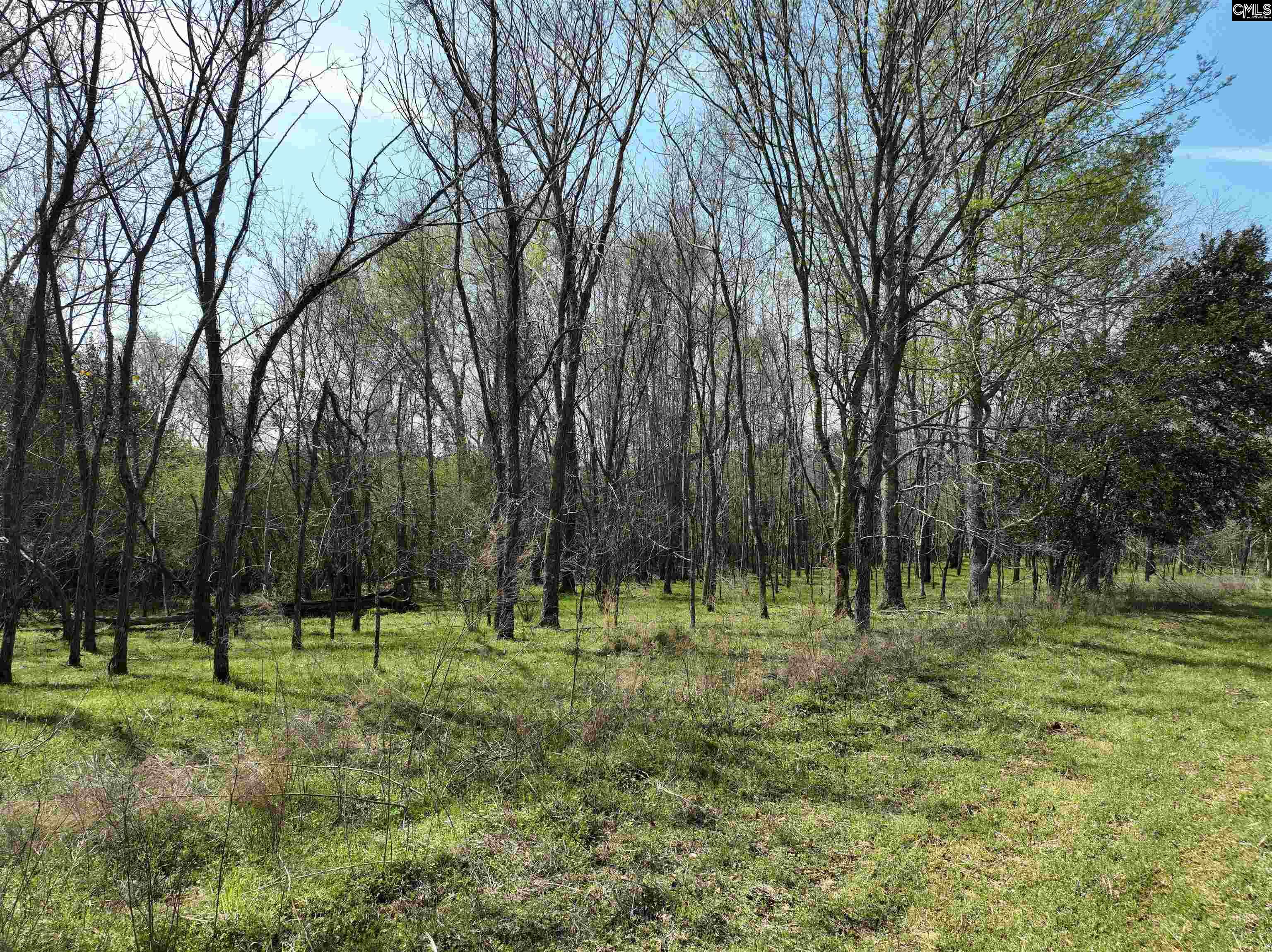 00 Dr Boylston Road, Salley, South Carolina image 38