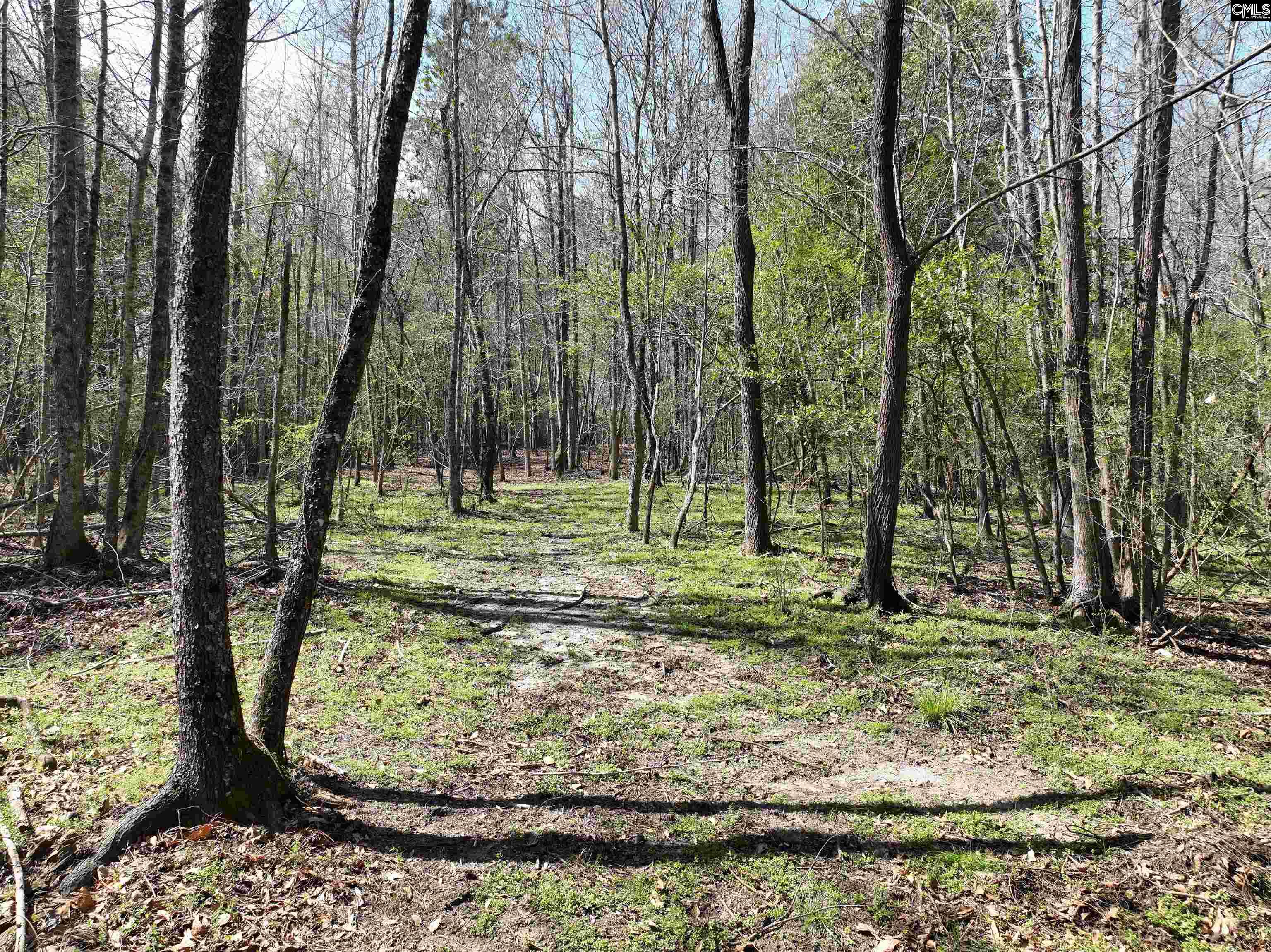 00 Dr Boylston Road, Salley, South Carolina image 40