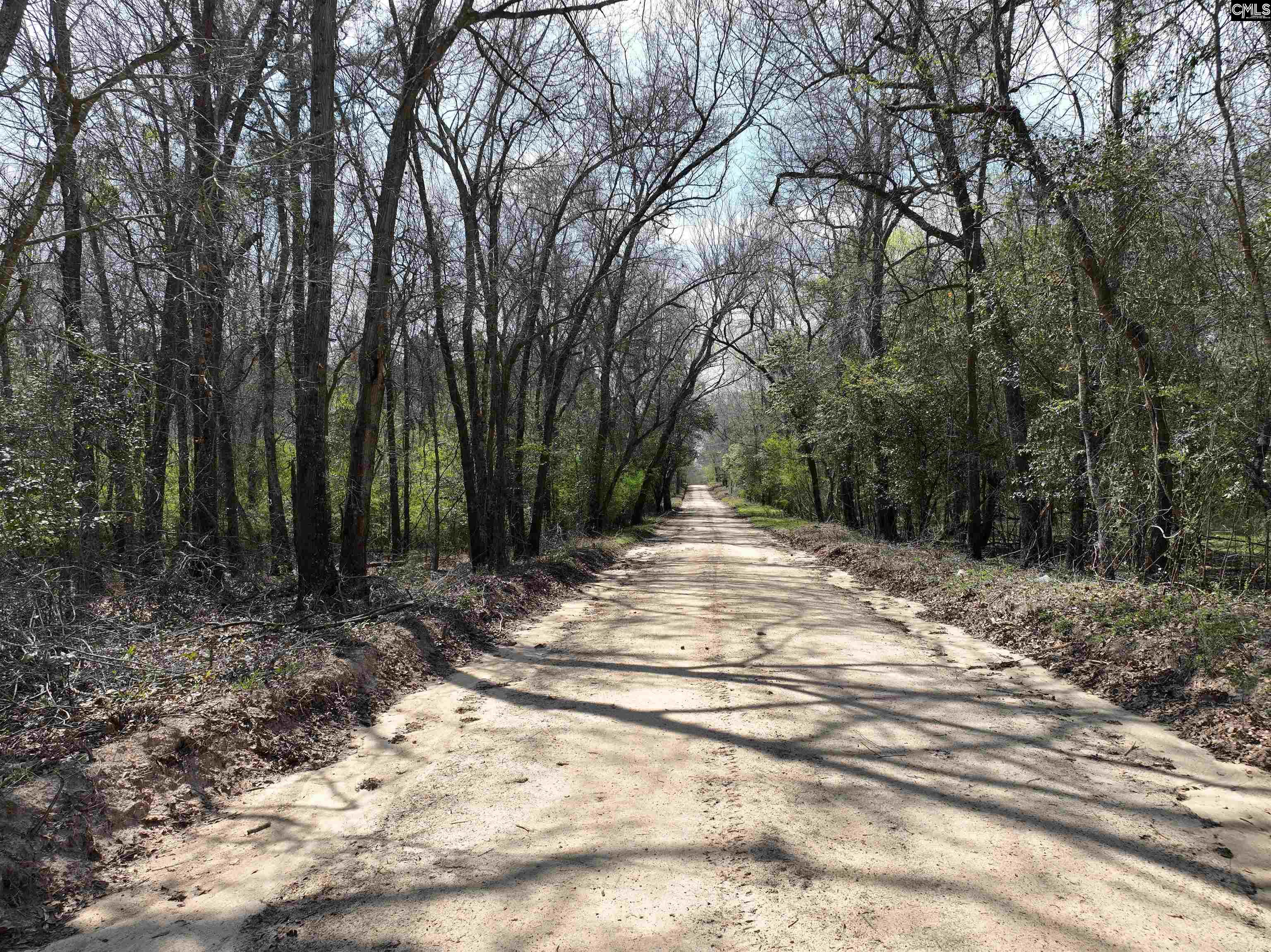 00 Dr Boylston Road, Salley, South Carolina image 41