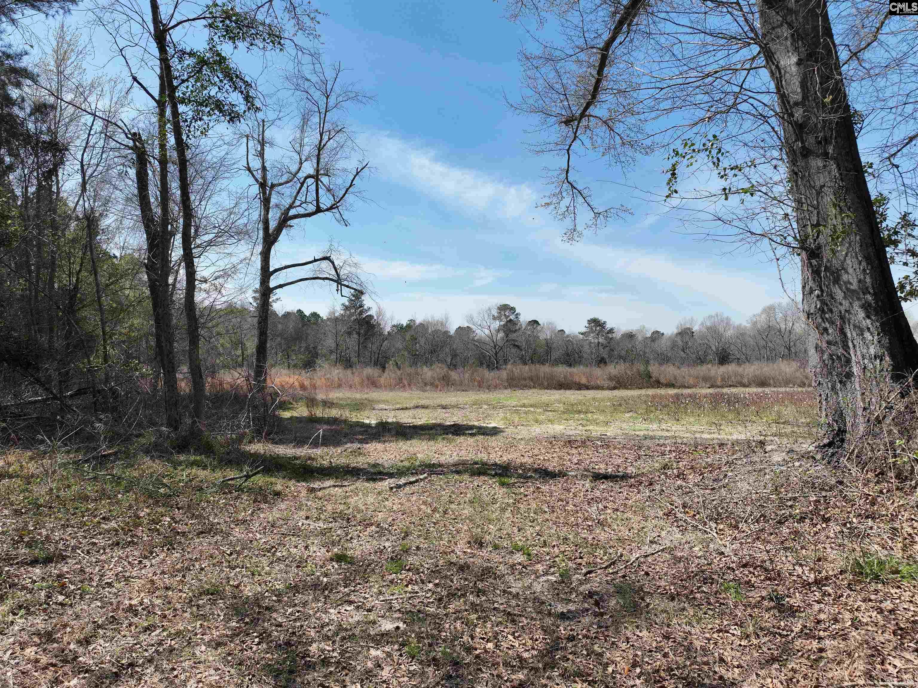 00 Dr Boylston Road, Salley, South Carolina image 9